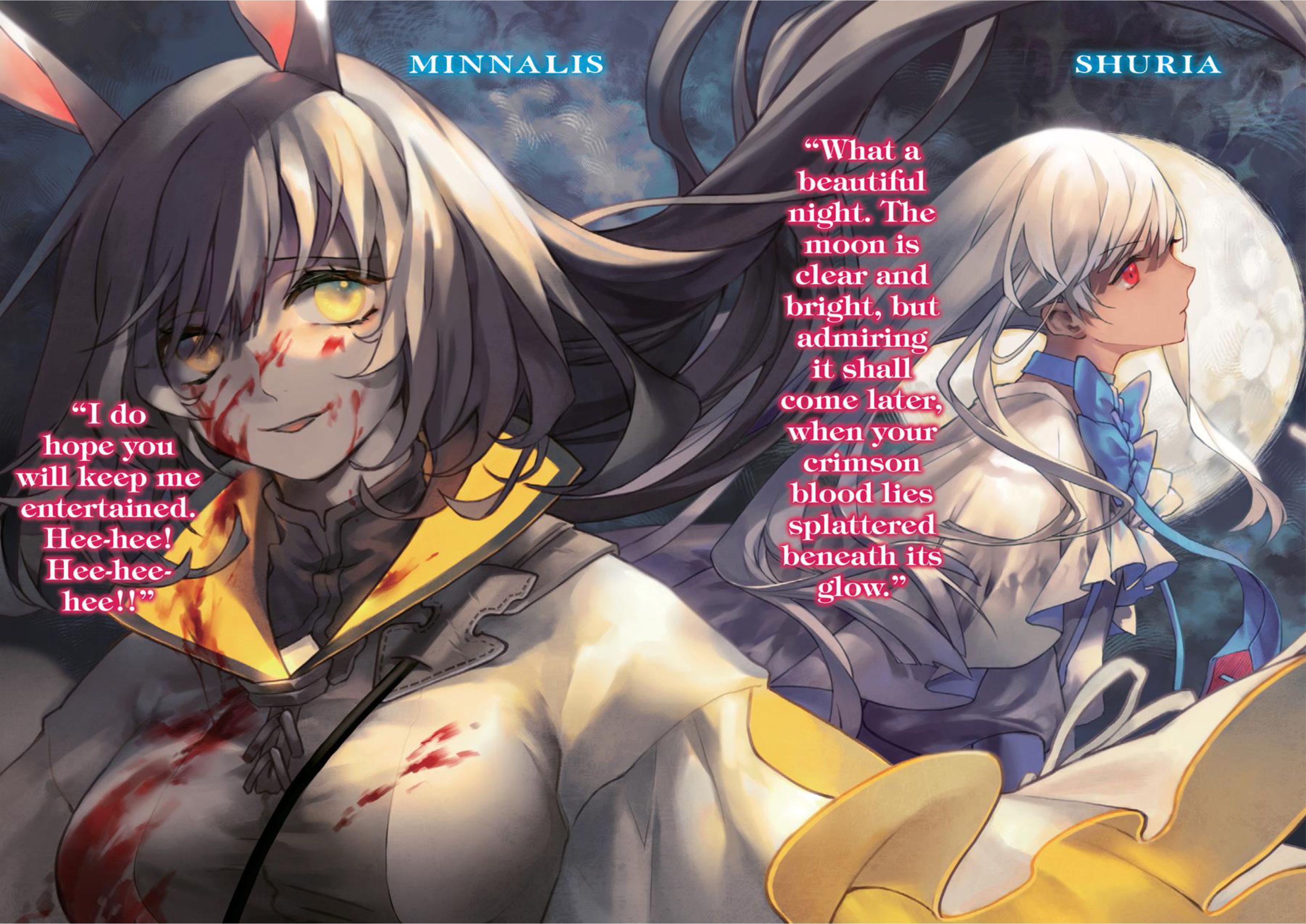 Nidome no Yuusha V3 Official Version Illustration - Megumi Novel