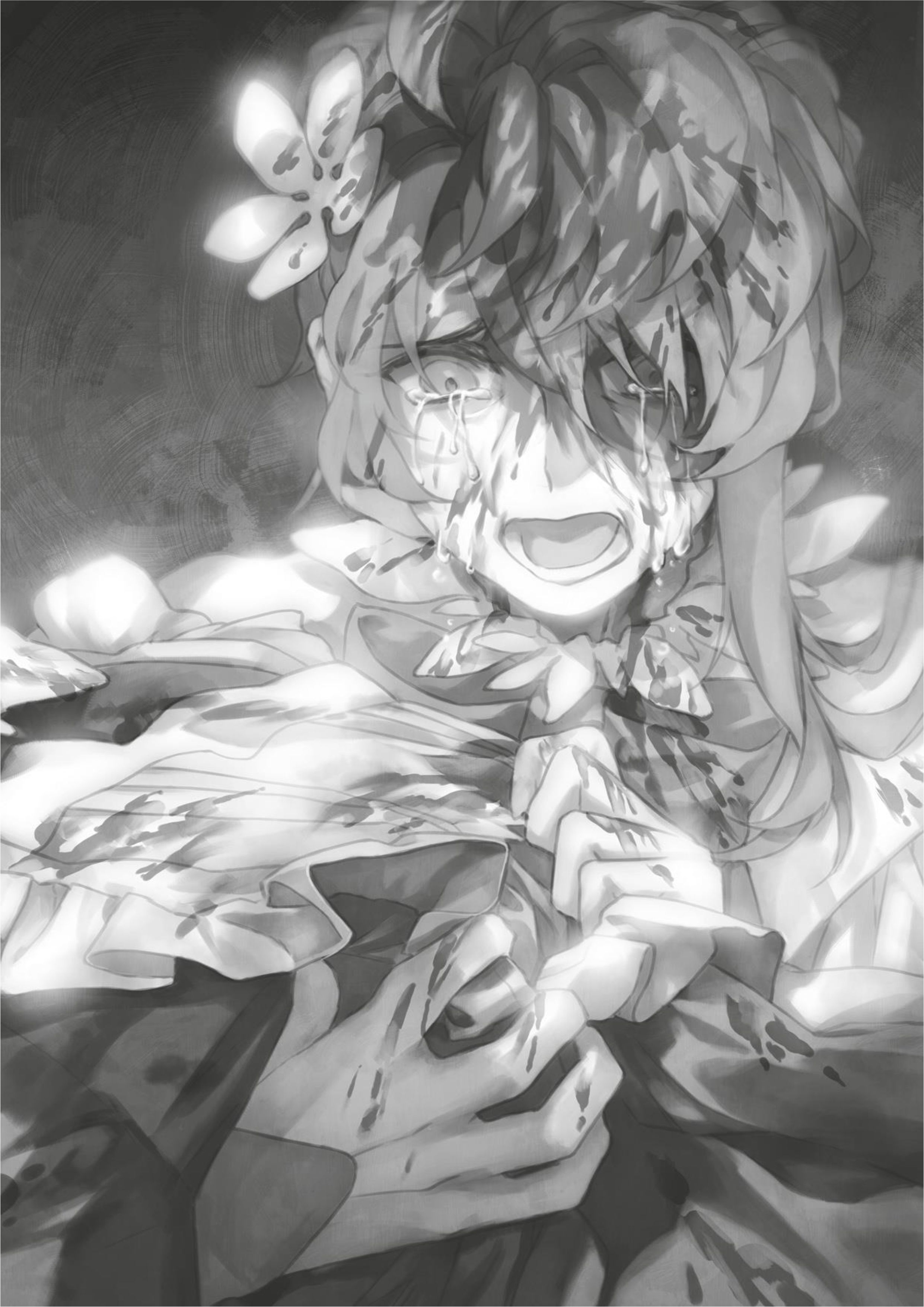 Nidome no Yuusha V3 Official Version Illustration - Megumi Novel