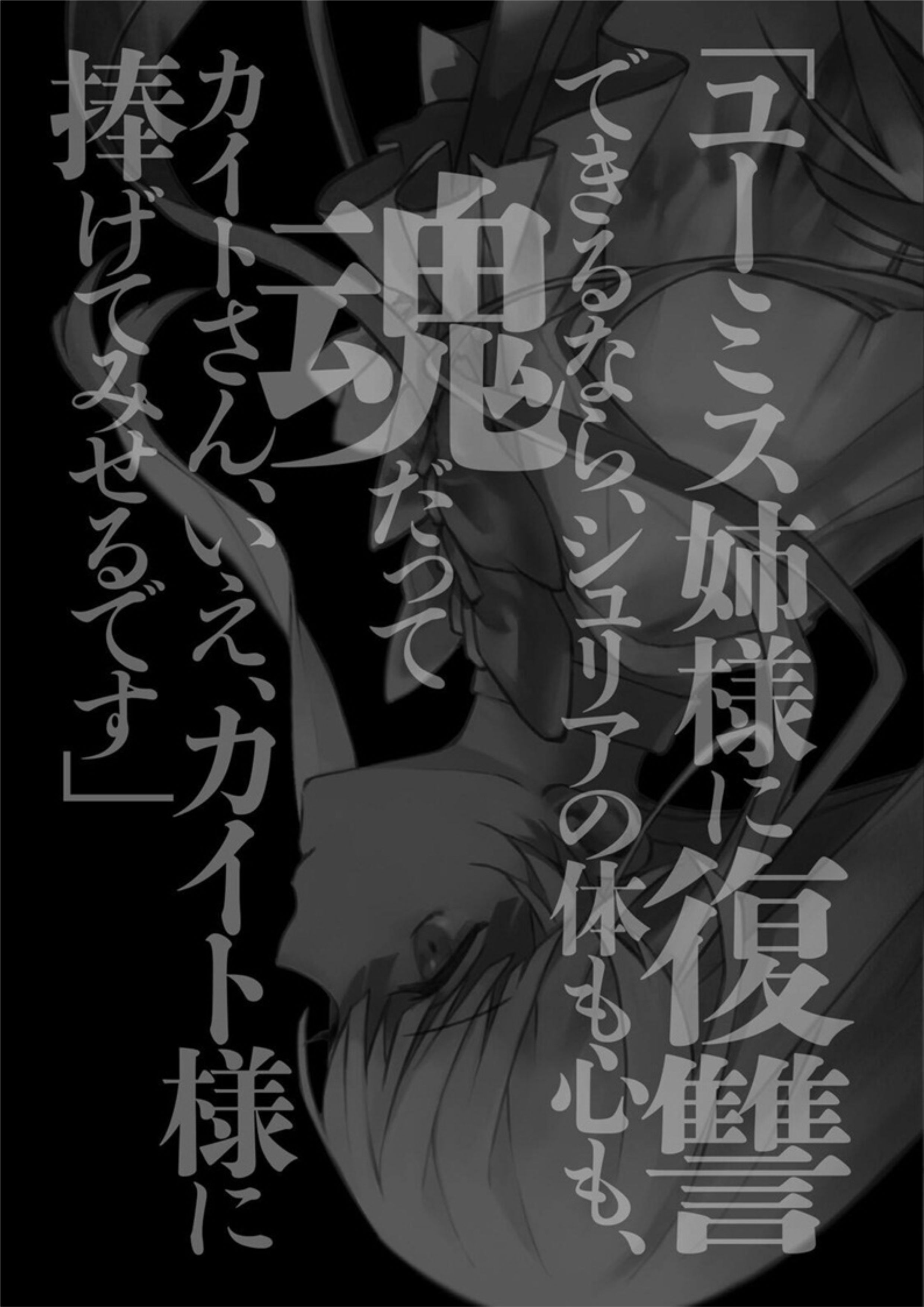 Nidome no Yuusha V2 Illustration - Megumi Novel