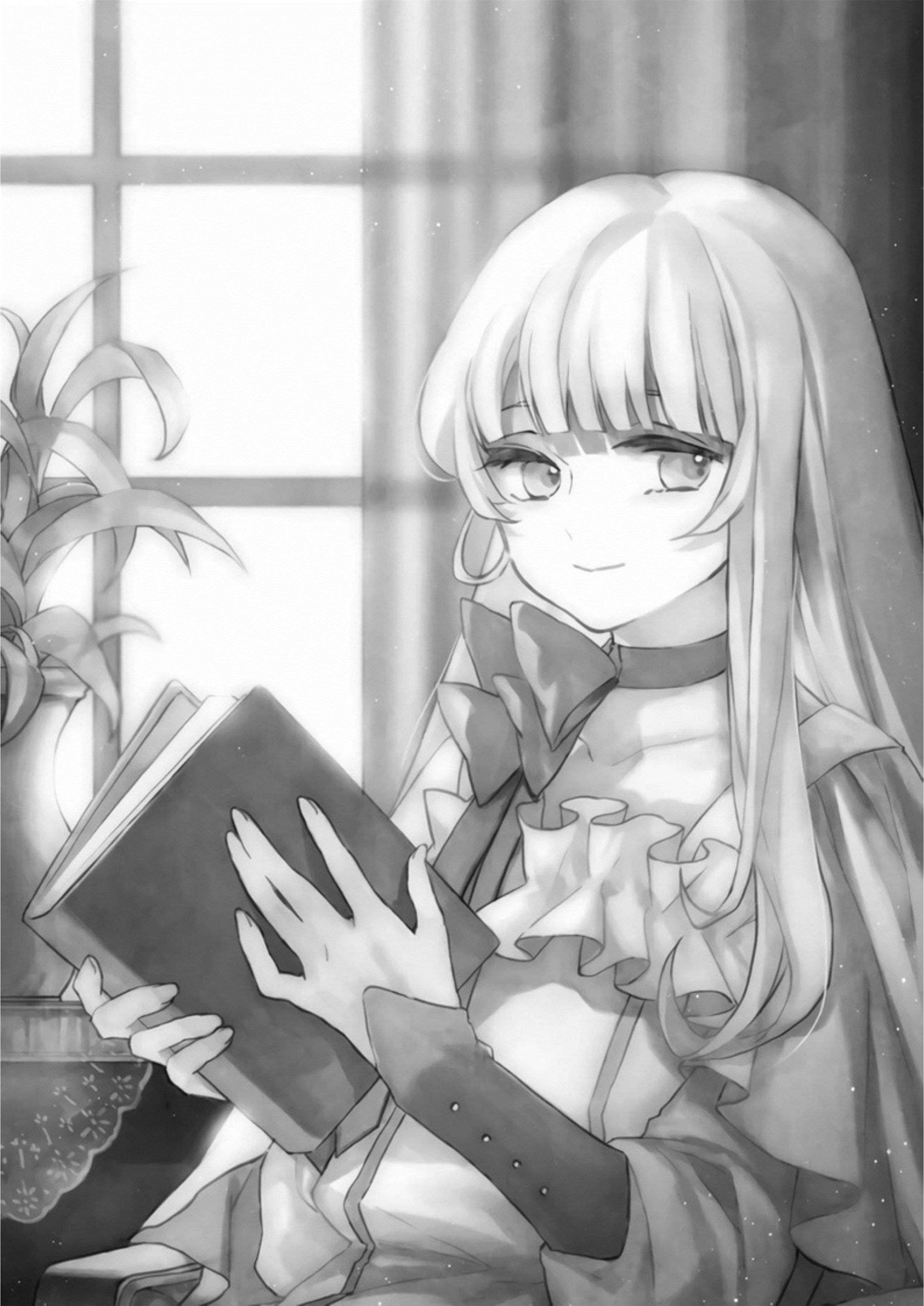 Nidome no Yuusha V2 Illustration - Megumi Novel