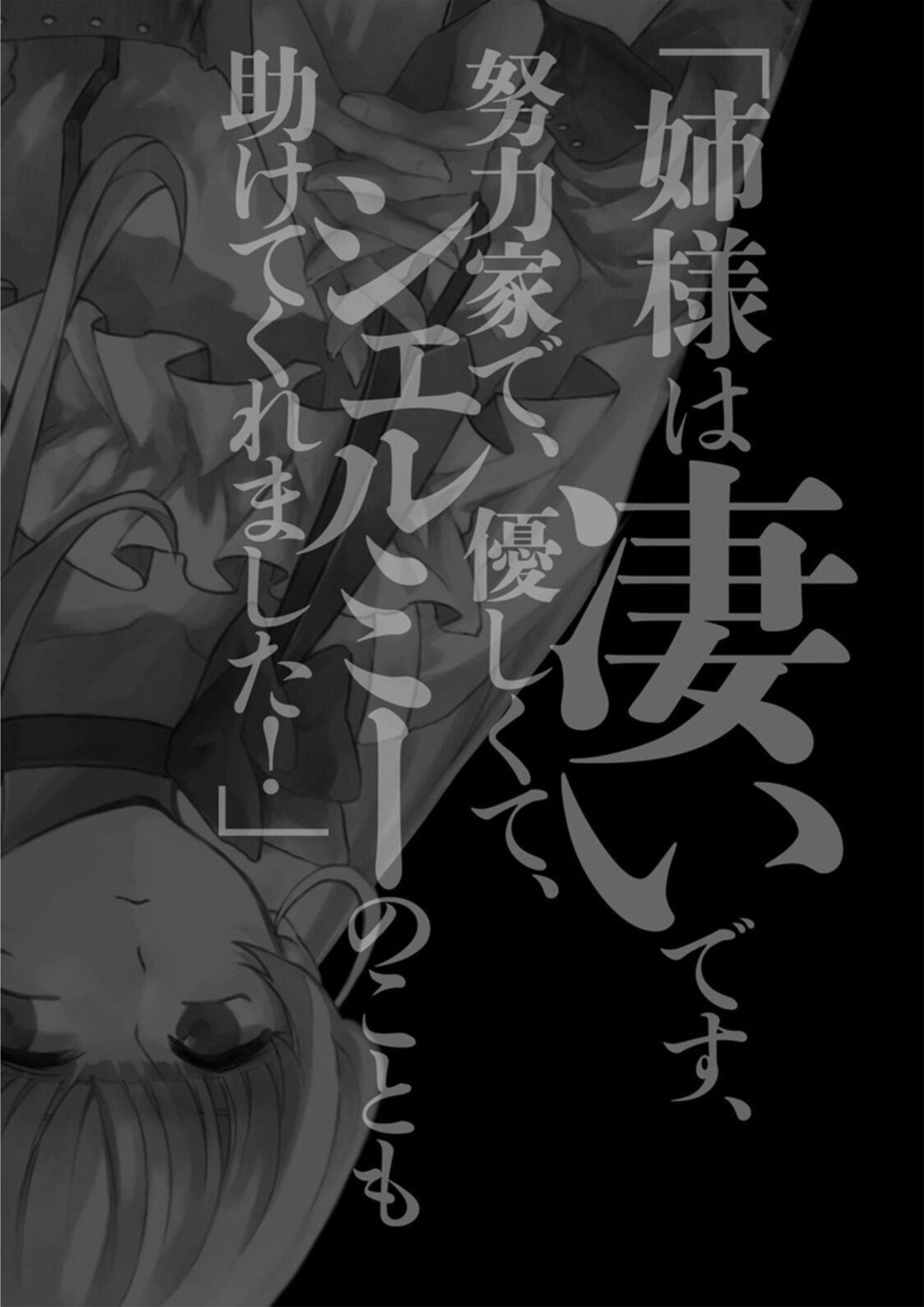 Nidome no Yuusha V3 Illustration - Megumi Novel