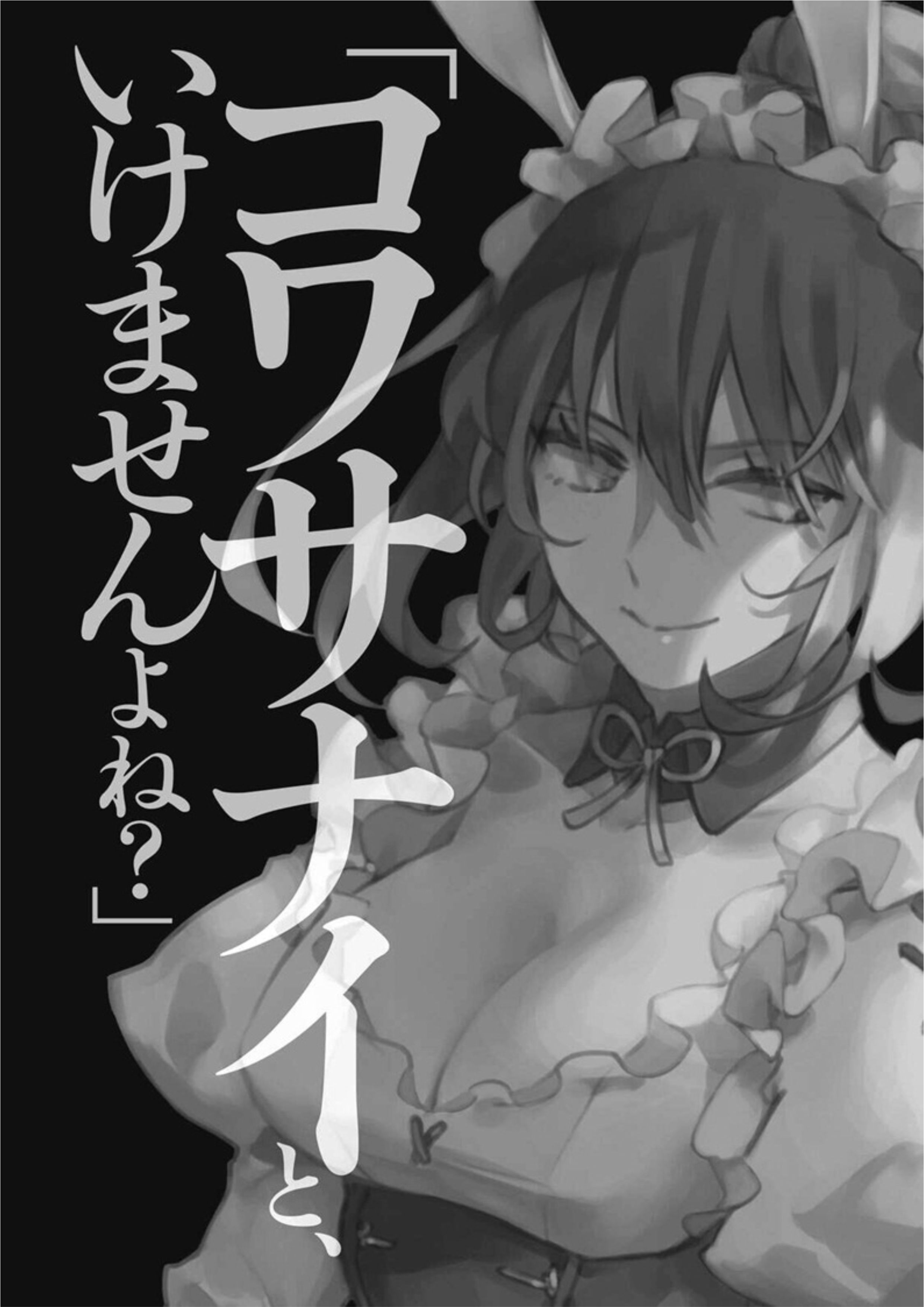 Nidome no Yuusha V5 Illustration - Megumi Novel