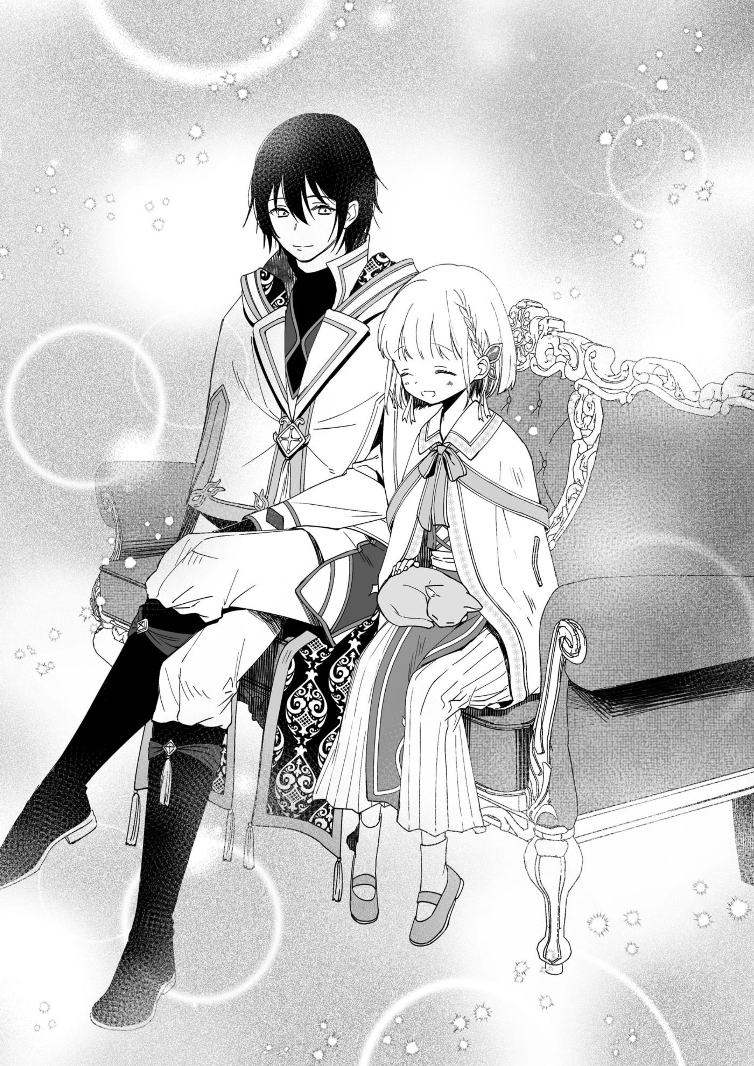 Nidoto Ie ni wa Kaerimasen V1 Illustration - Megumi Novel