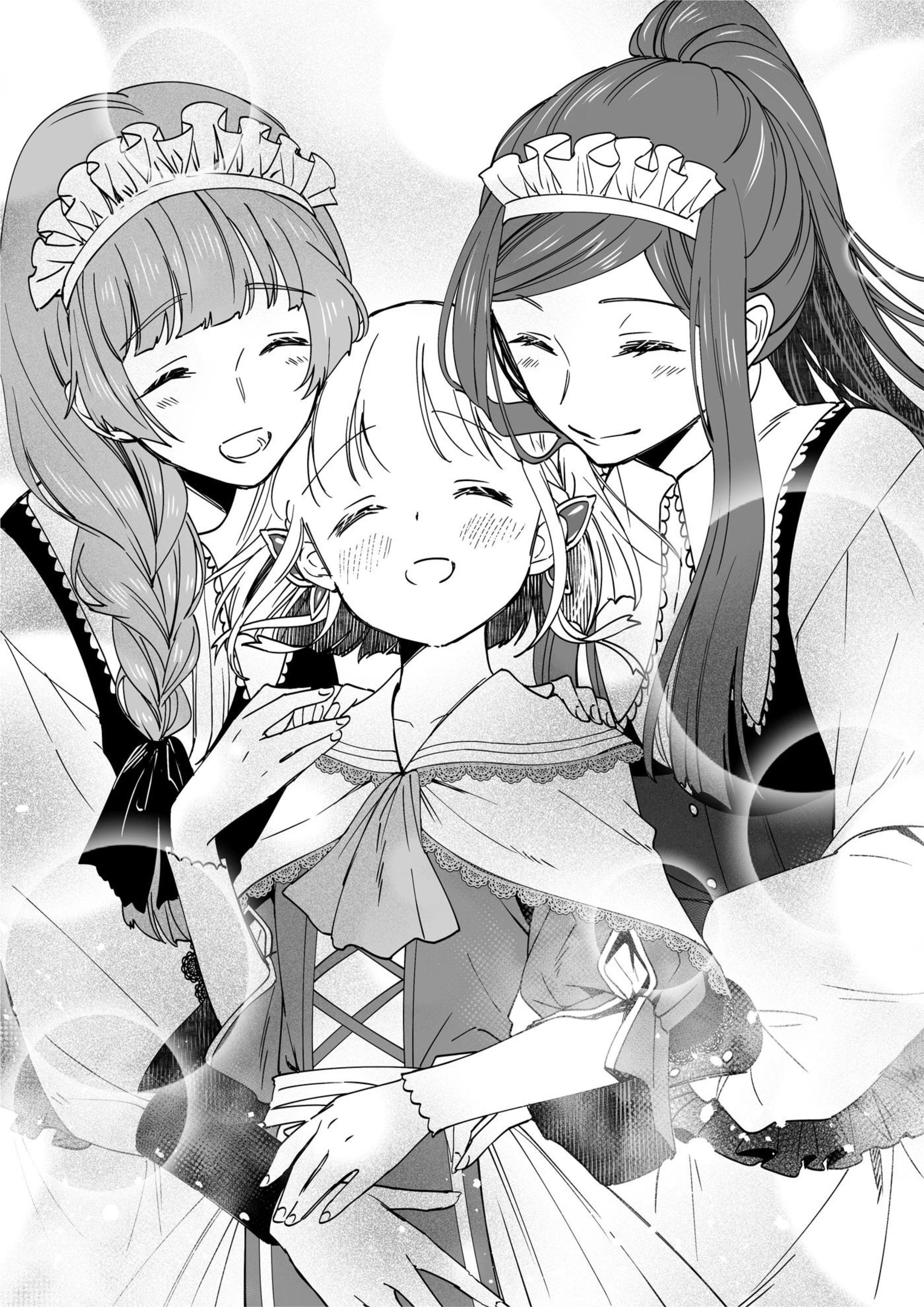 Nidoto Ie ni wa Kaerimasen V1 Illustration - Megumi Novel