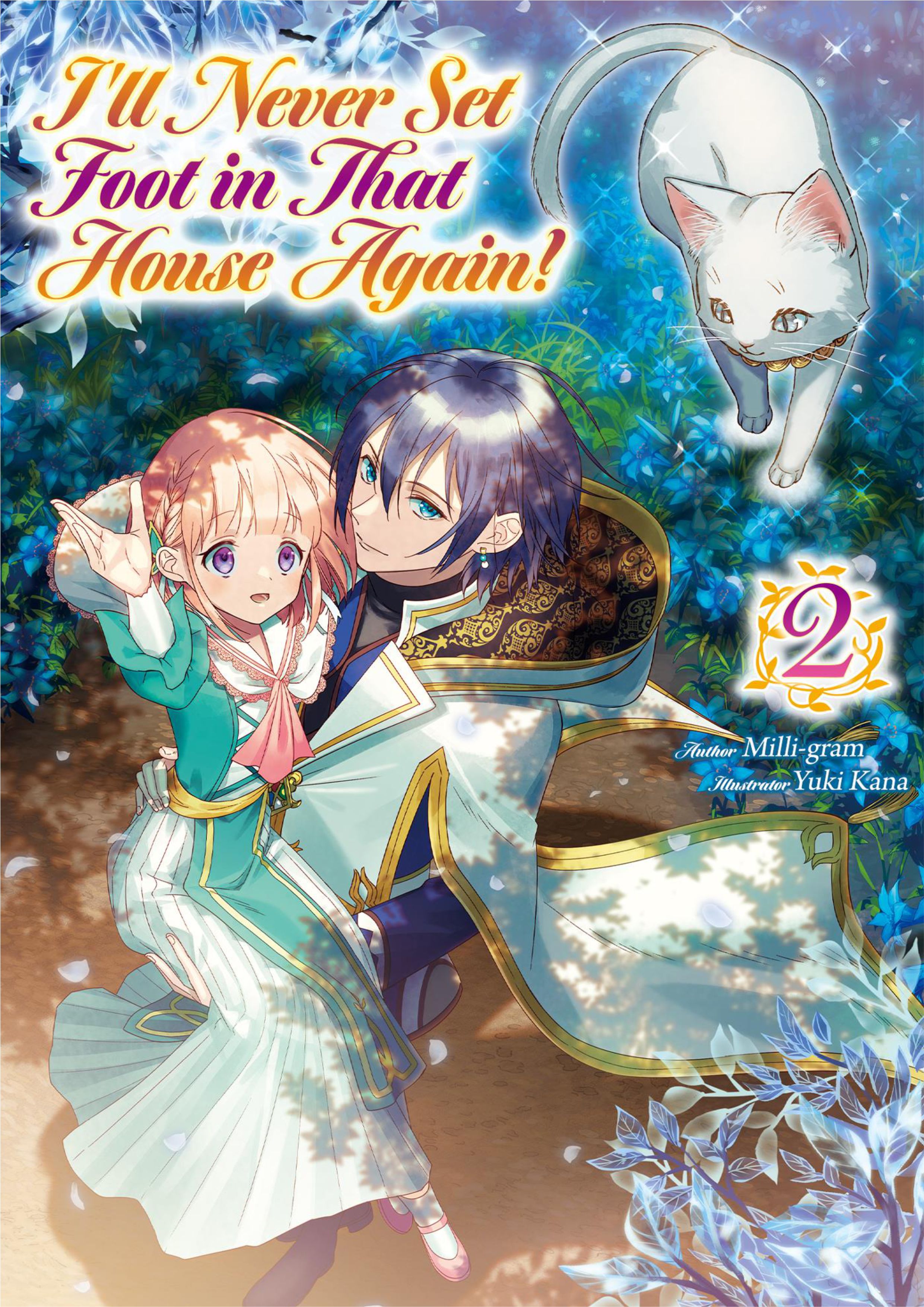 Nidoto Ie ni wa Kaerimasen V2 Illustration - Megumi Novel