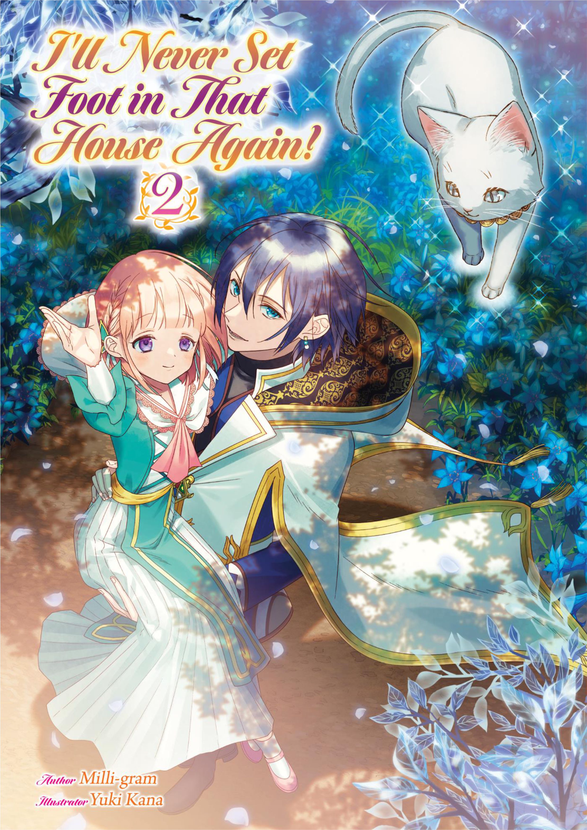 Nidoto Ie ni wa Kaerimasen V2 Illustration - Megumi Novel