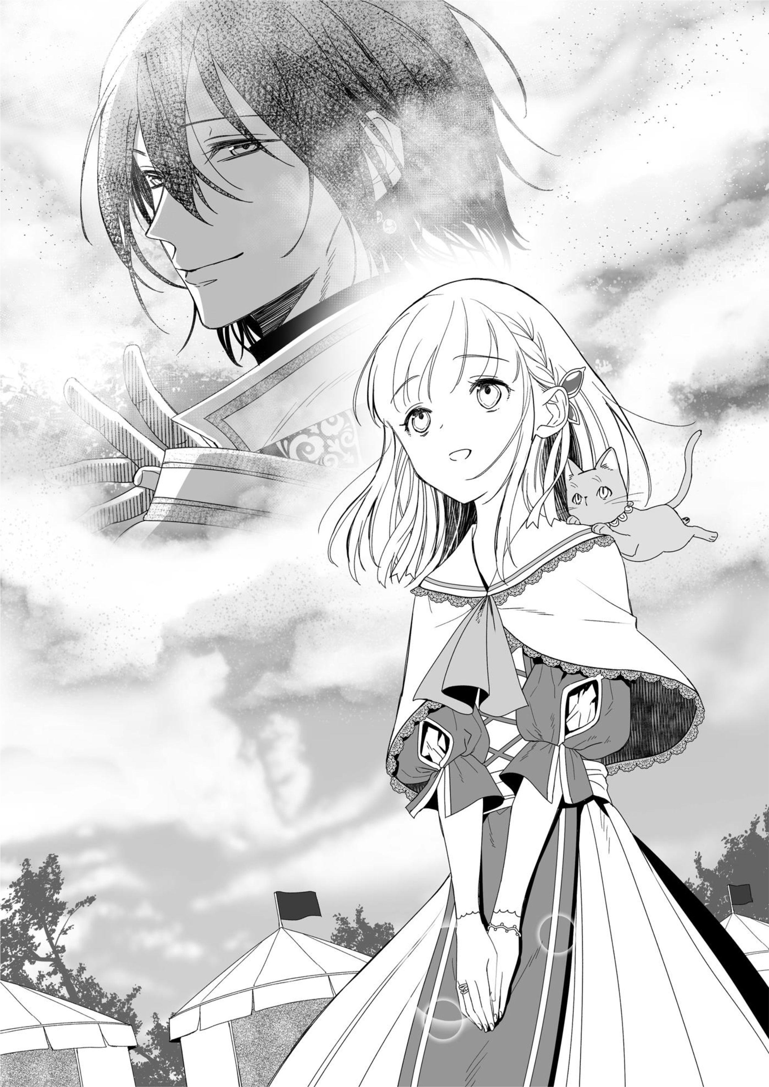Nidoto Ie ni wa Kaerimasen V2 Illustration - Megumi Novel