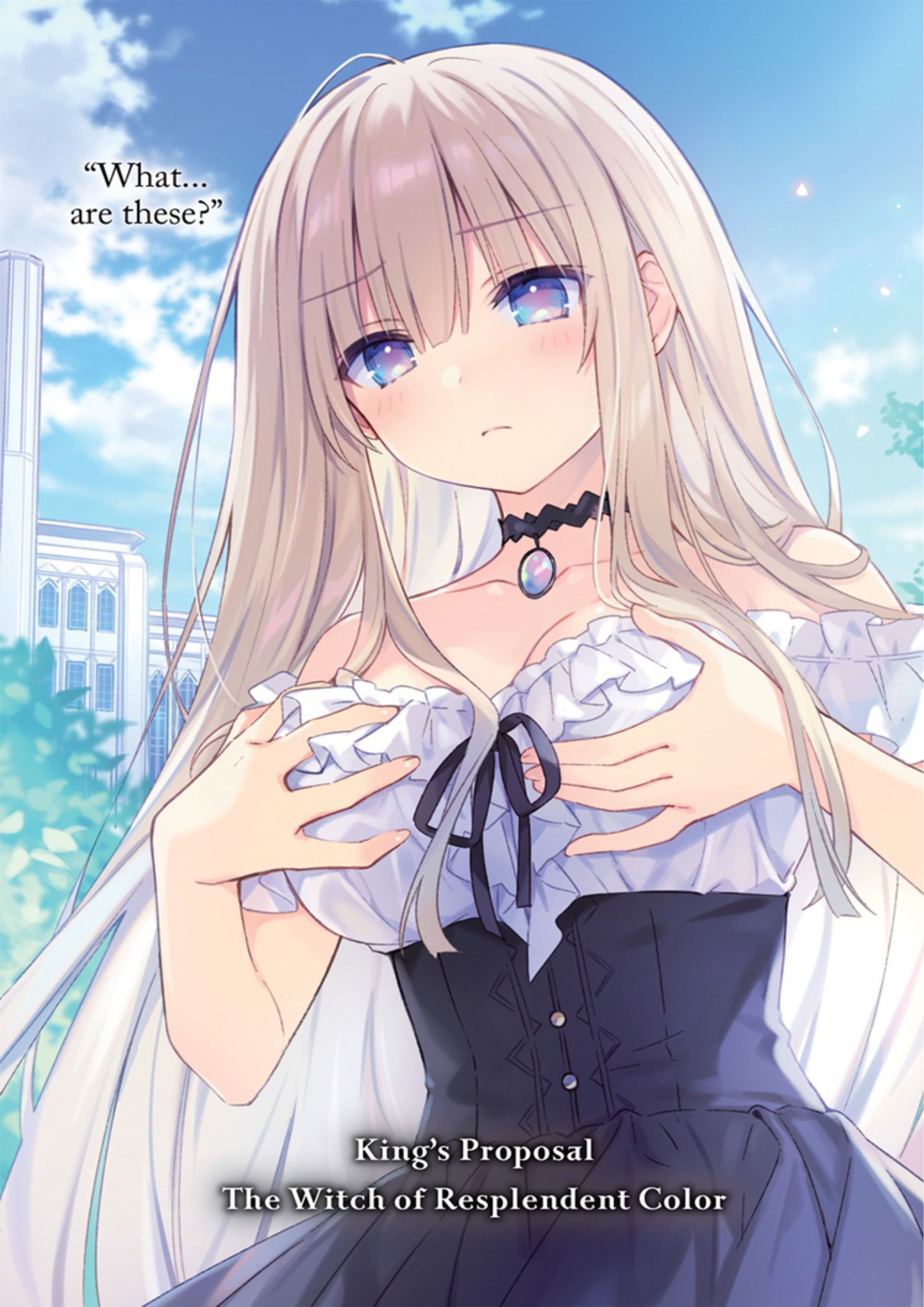 Ousama no Propose V1 Illustration - Megumi Novel