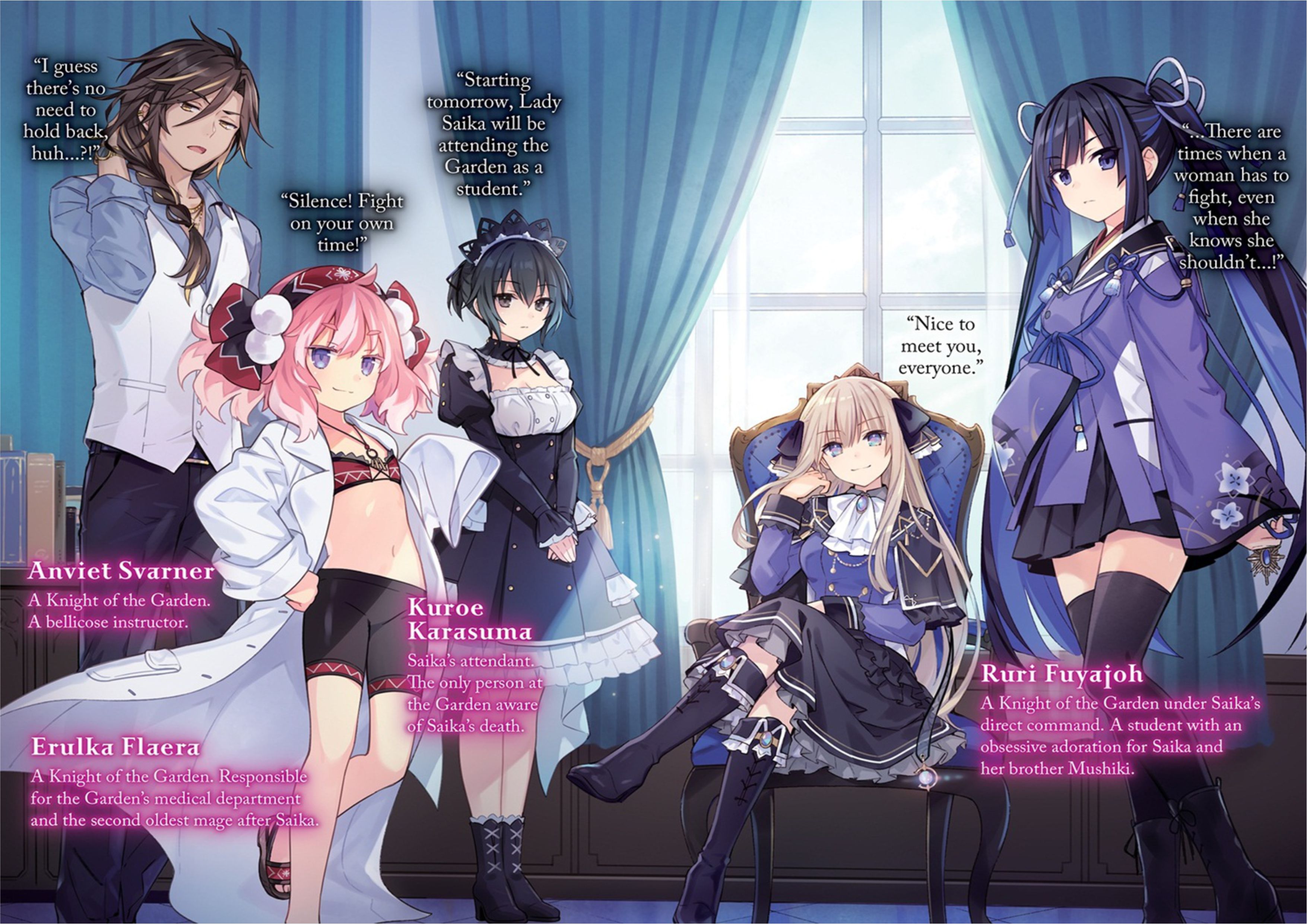 Ousama no Propose V1 Illustration - Megumi Novel
