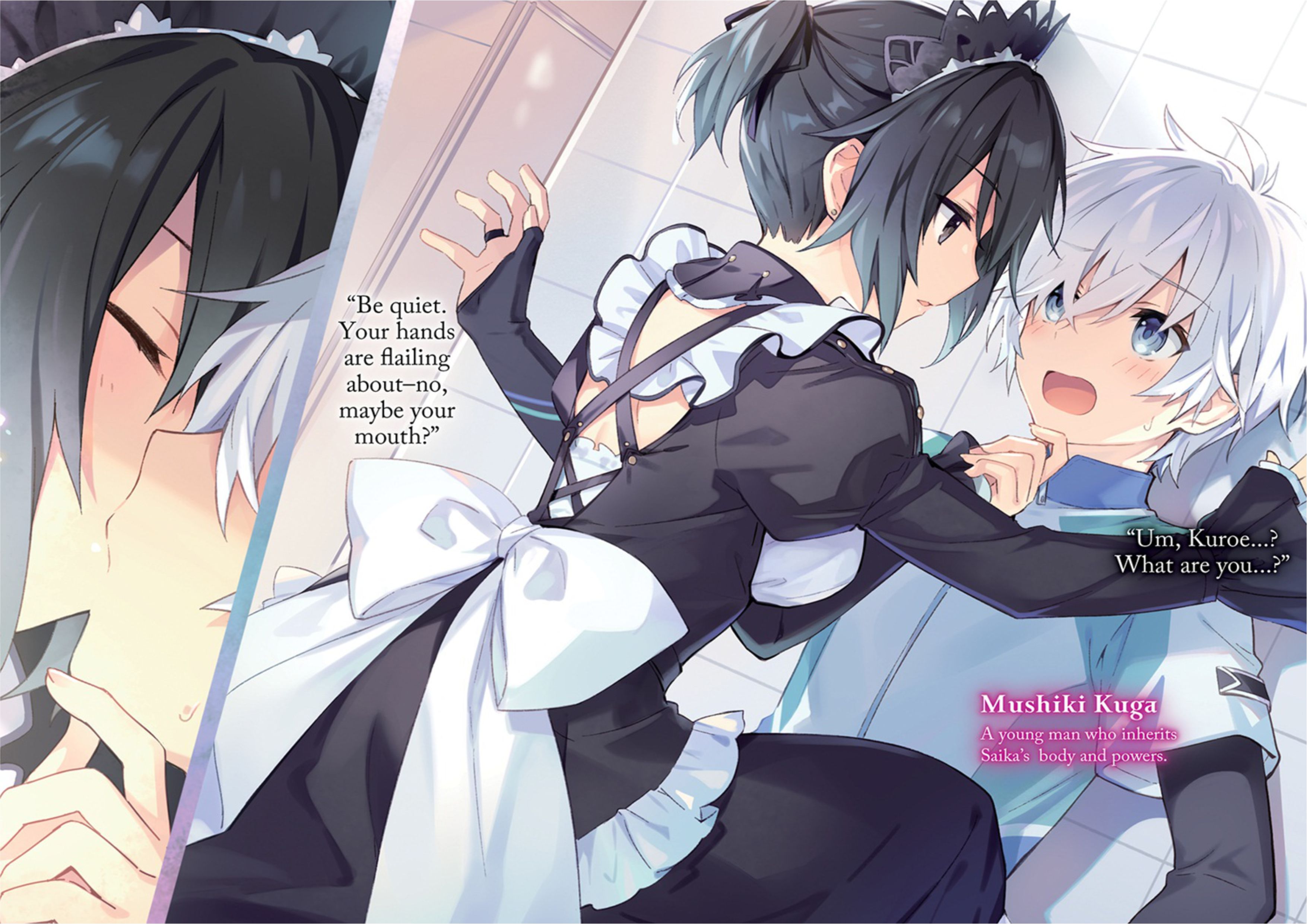 Ousama no Propose V1 Illustration - Megumi Novel