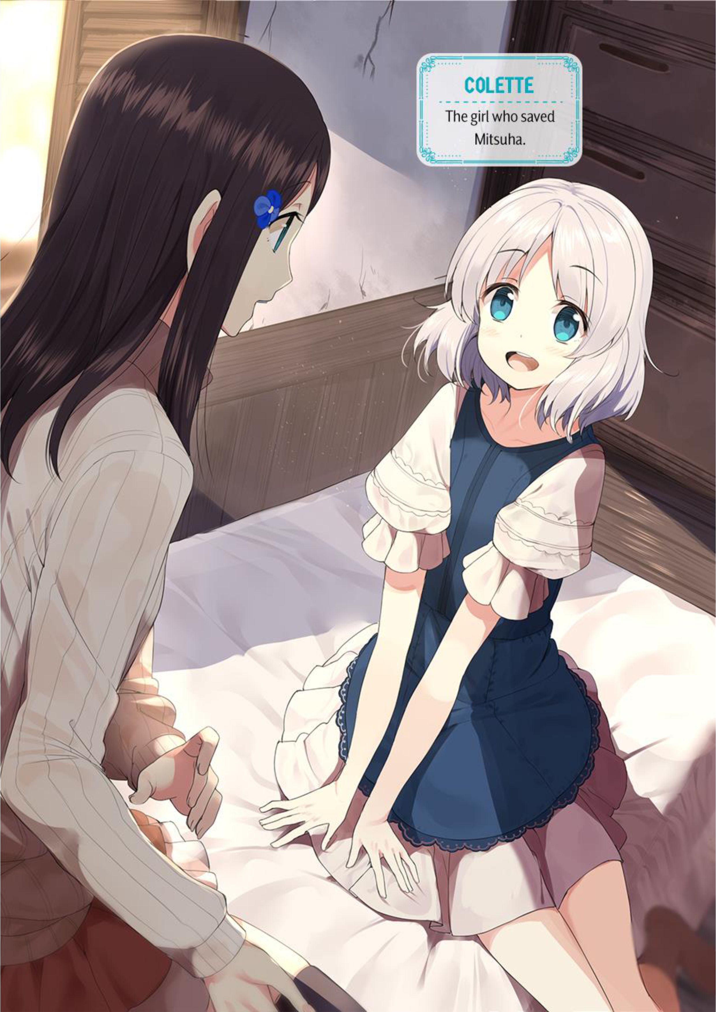 Rougo ni Sonaete Isekai de 8-manmai no Kinka wo Tamemasu V1 Illustration - Megumi Novel