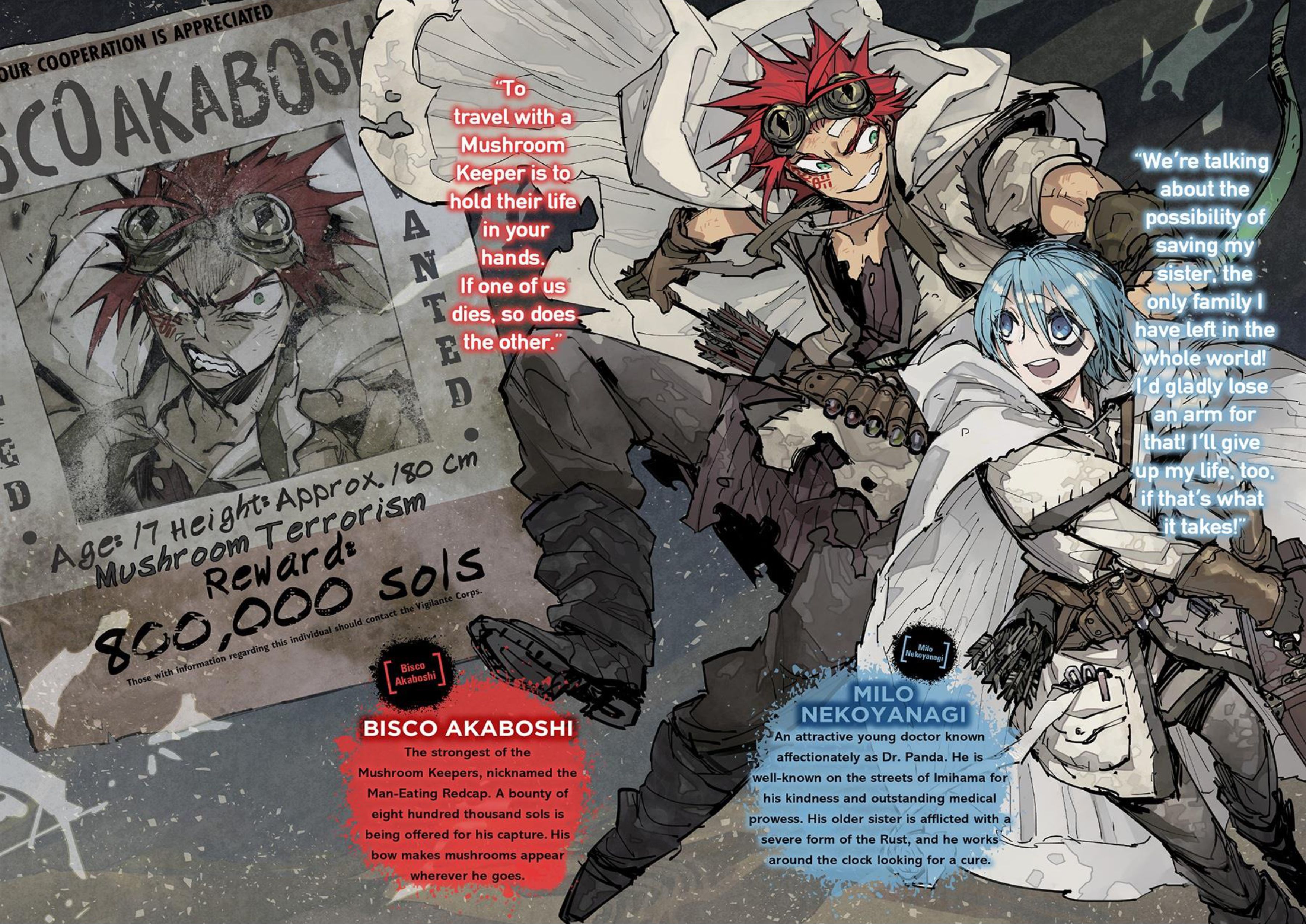 Sabikui Bisco V1 Illustration - Megumi Novel