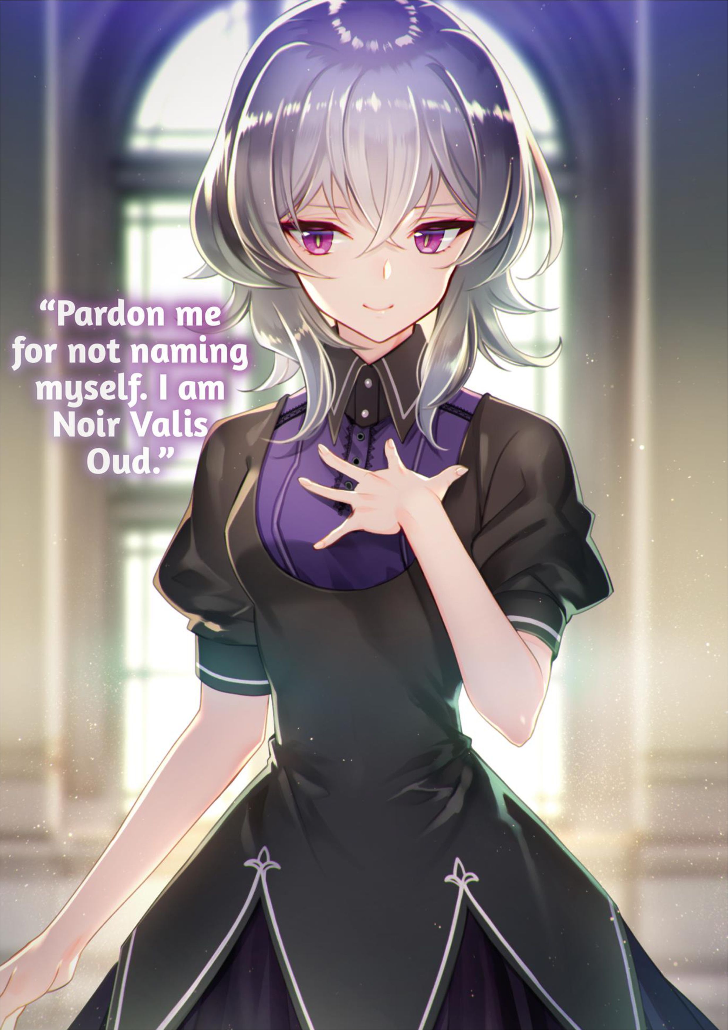 Saikyou Mahoushi no Inton Keikaku V8 Illustration - Megumi Novel