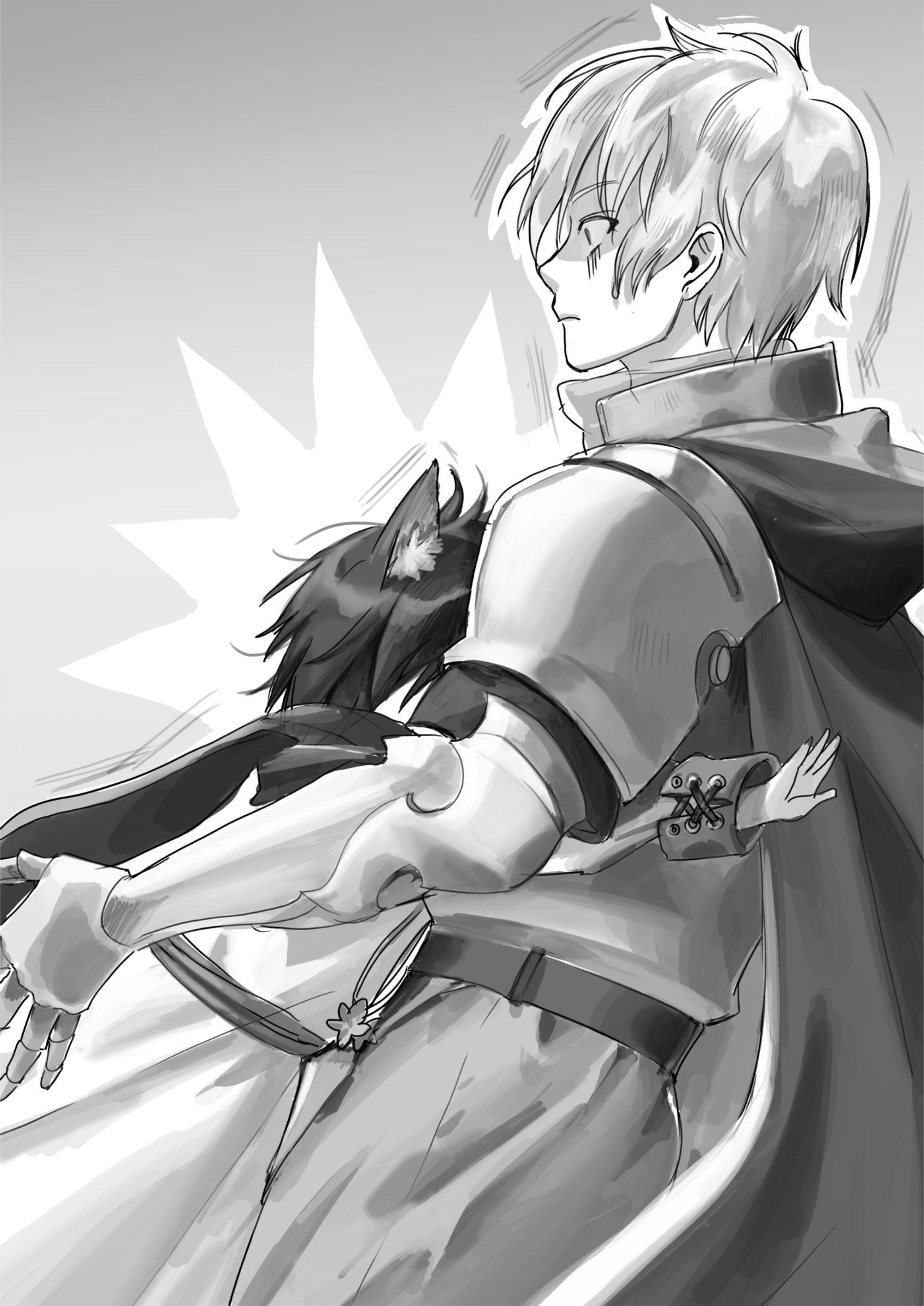 Seija Musou V4 Illustration - Megumi Novel