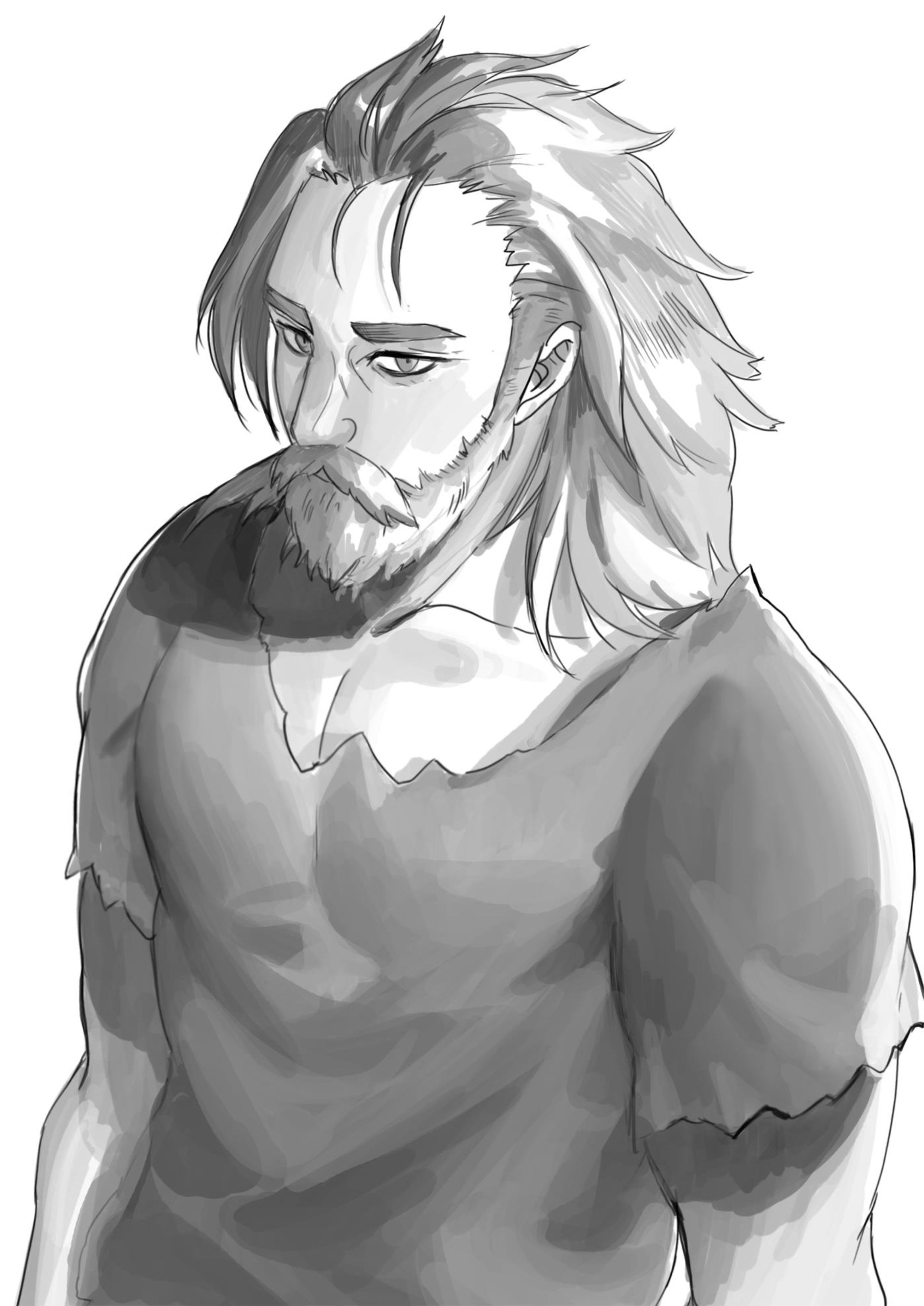 Seija Musou V4 Illustration - Megumi Novel