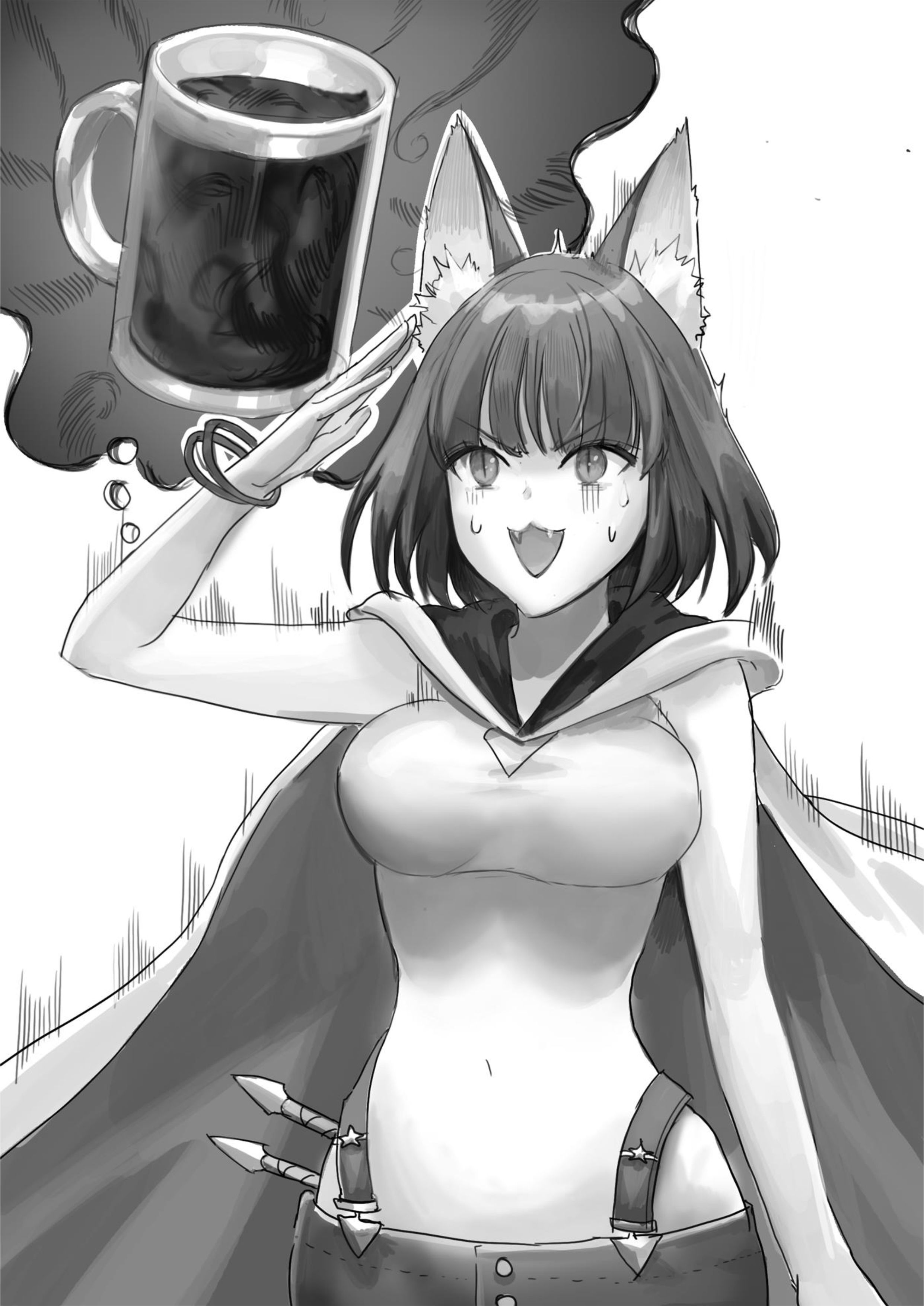 Seija Musou V4 Illustration - Megumi Novel