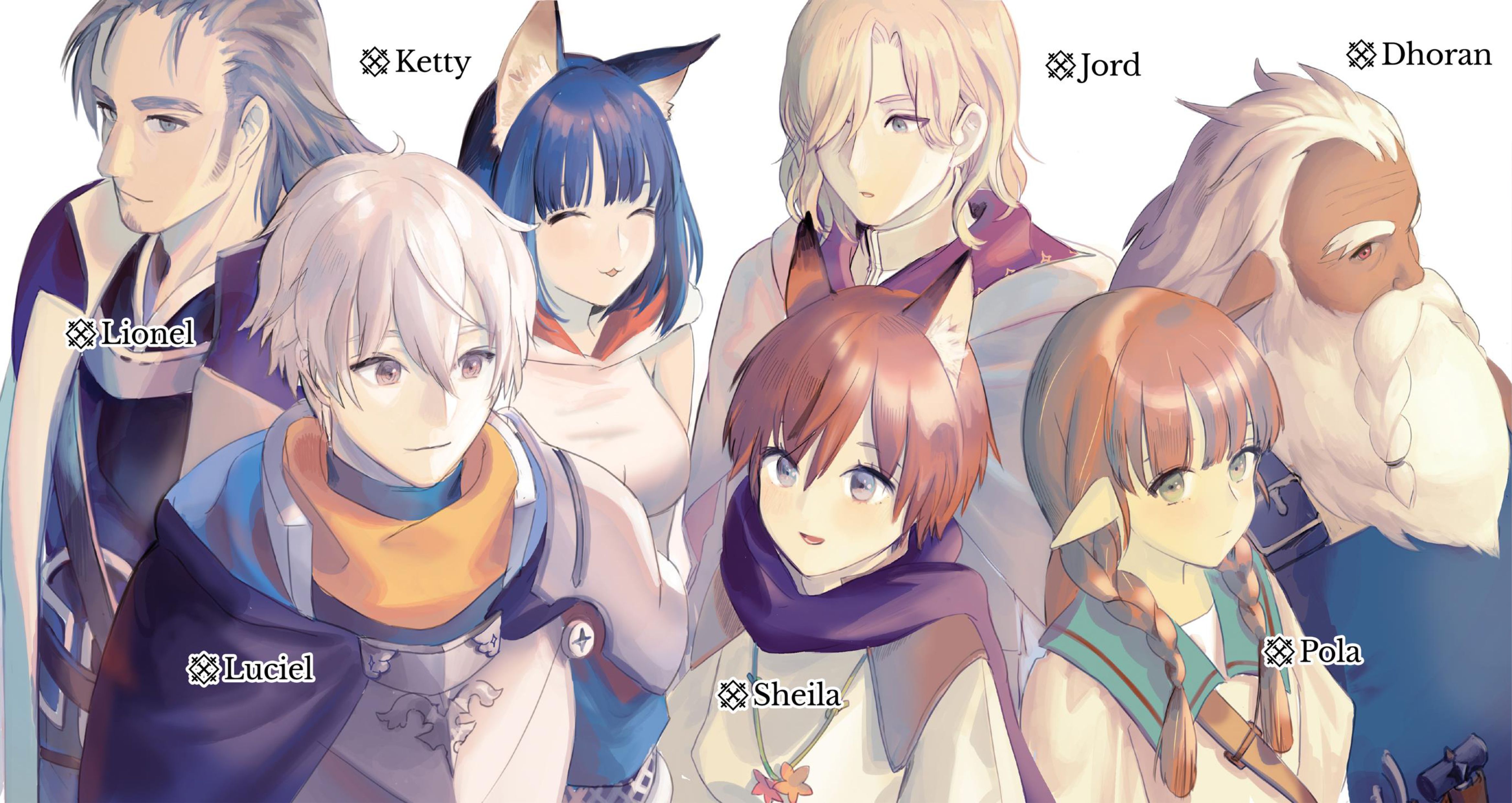 Seija Musou V4 Illustration - Megumi Novel