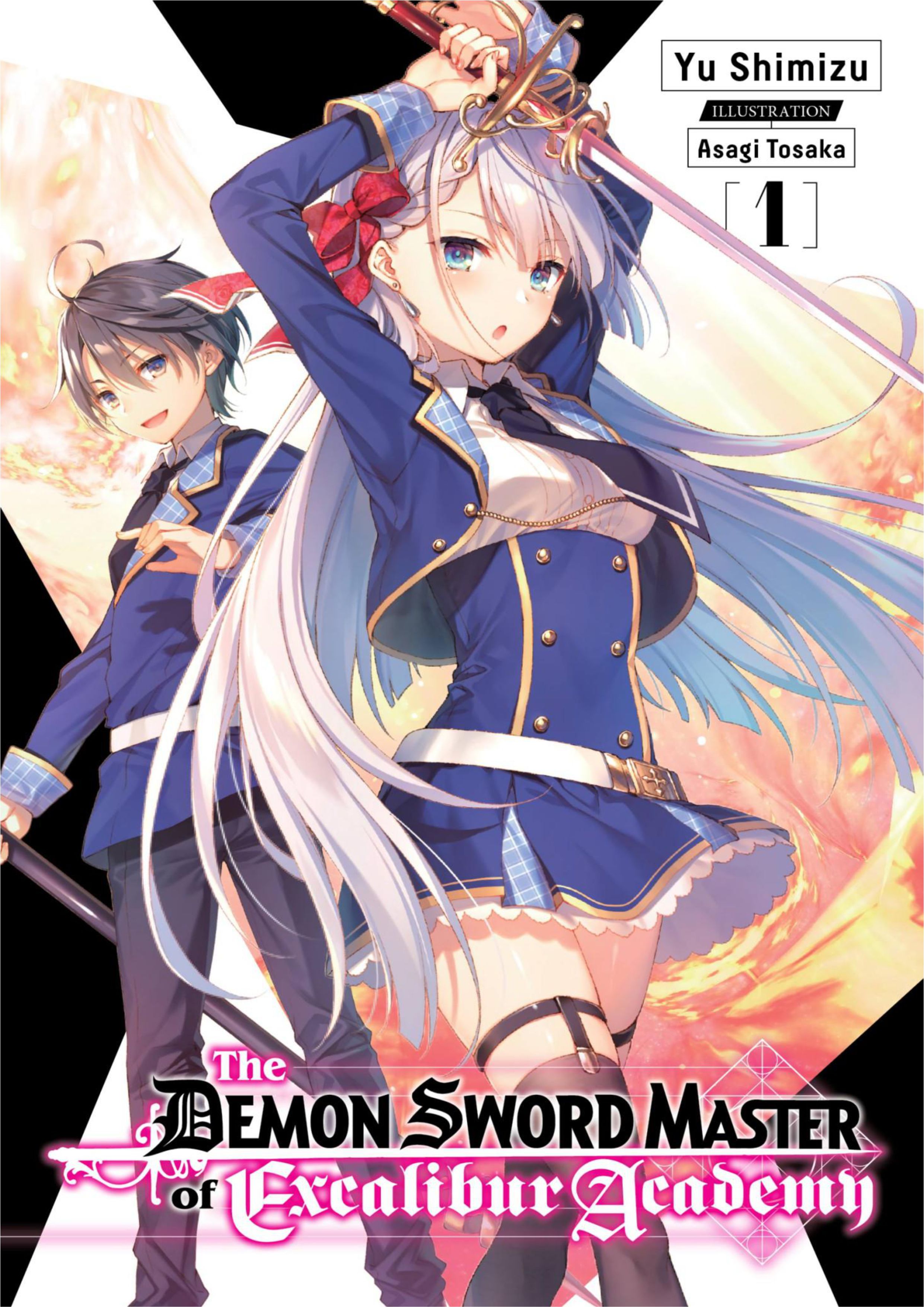Seiken Gakuin no Maken Tsukai V1 Illustration - Megumi Novel