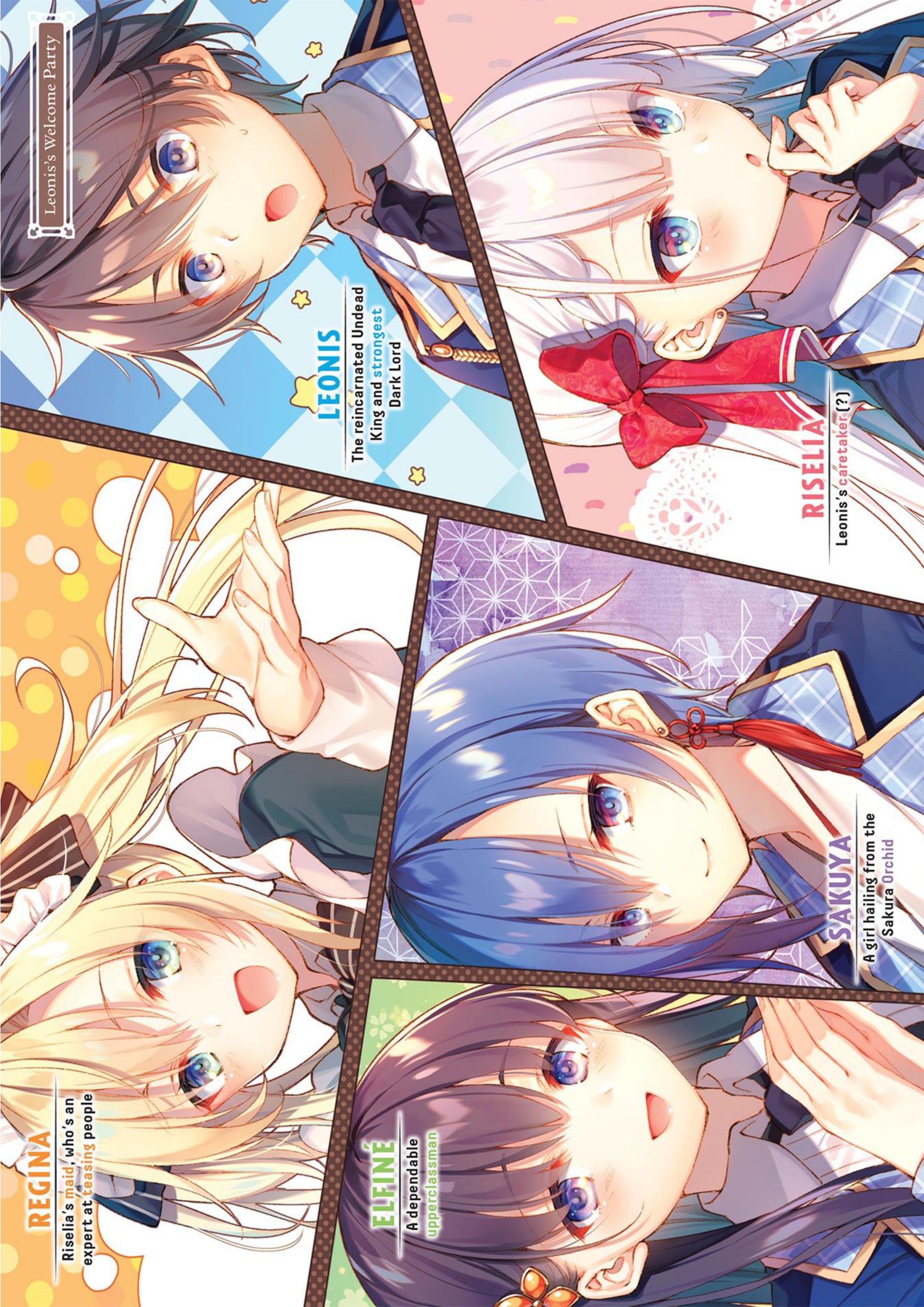 Seiken Gakuin no Maken Tsukai V1 Illustration - Megumi Novel