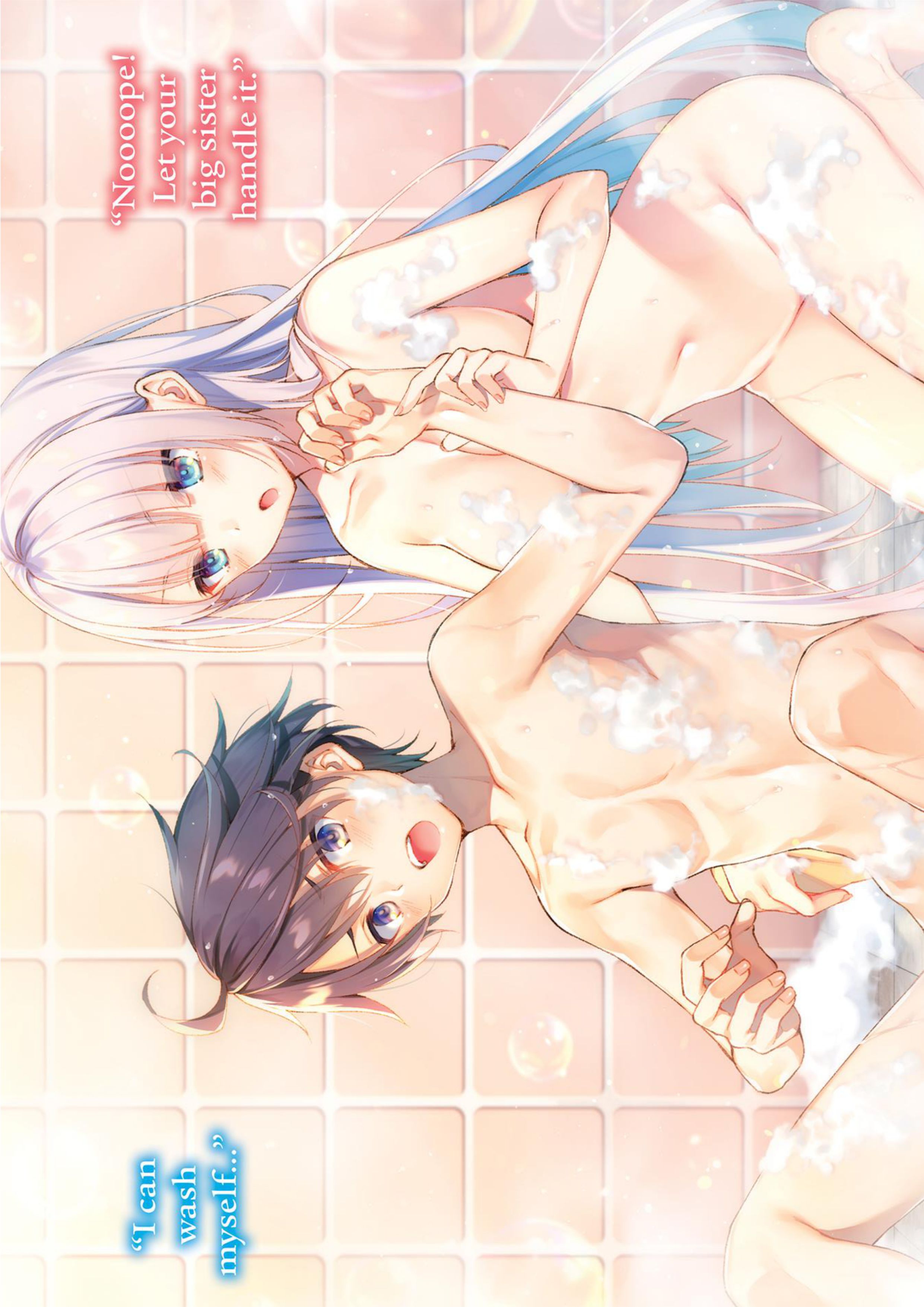 Seiken Gakuin no Maken Tsukai V1 Illustration - Megumi Novel