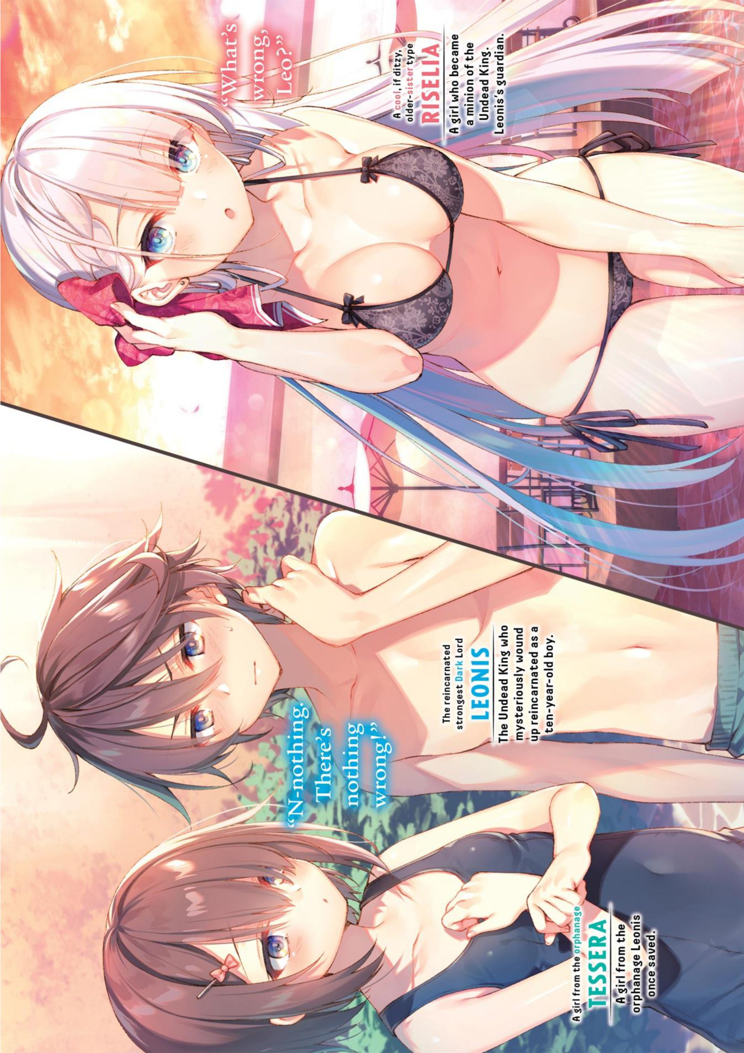 Seiken Gakuin no Maken Tsukai V2 Illustration - Megumi Novel