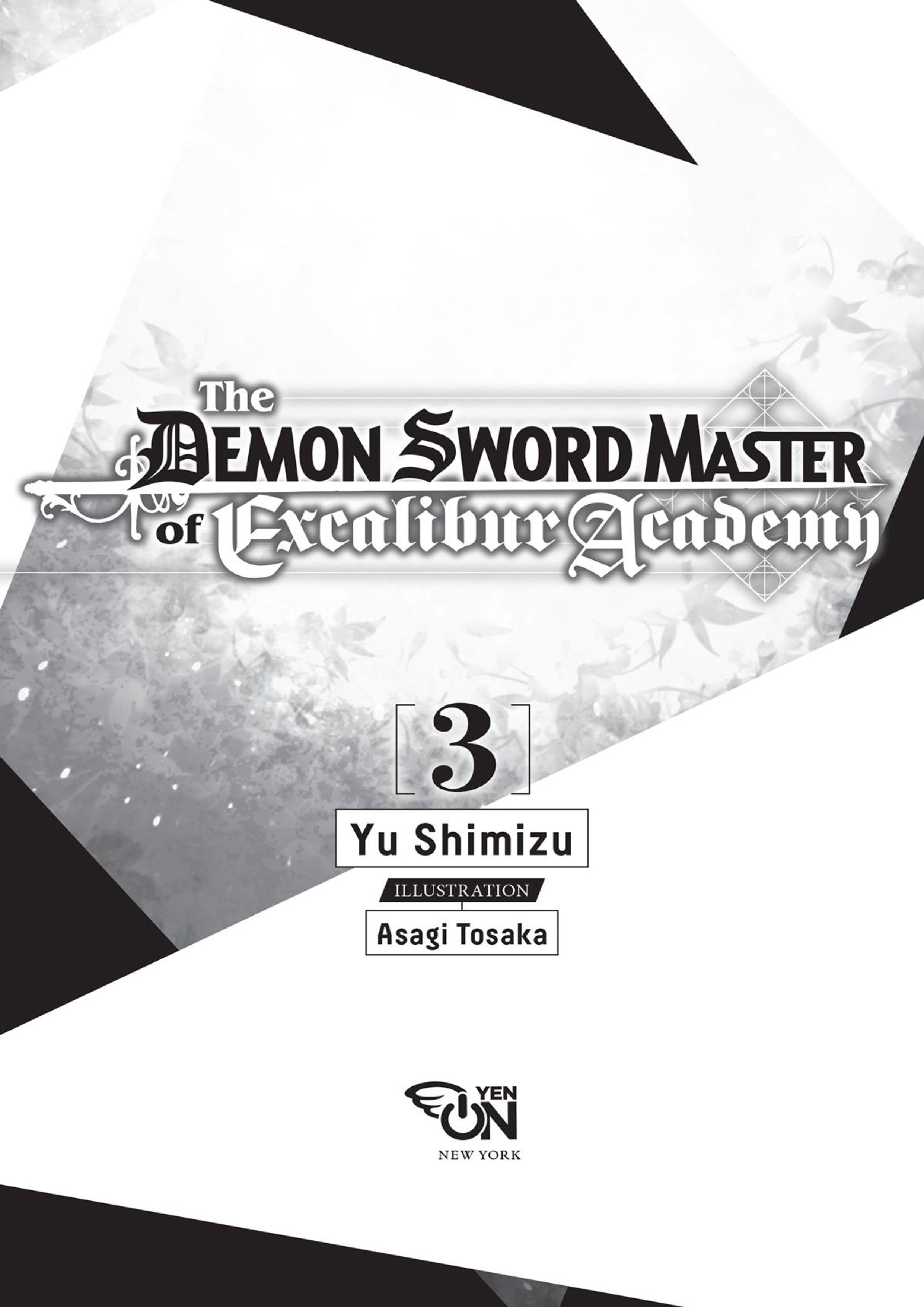Seiken Gakuin no Maken Tsukai V3 Illustration - Megumi Novel