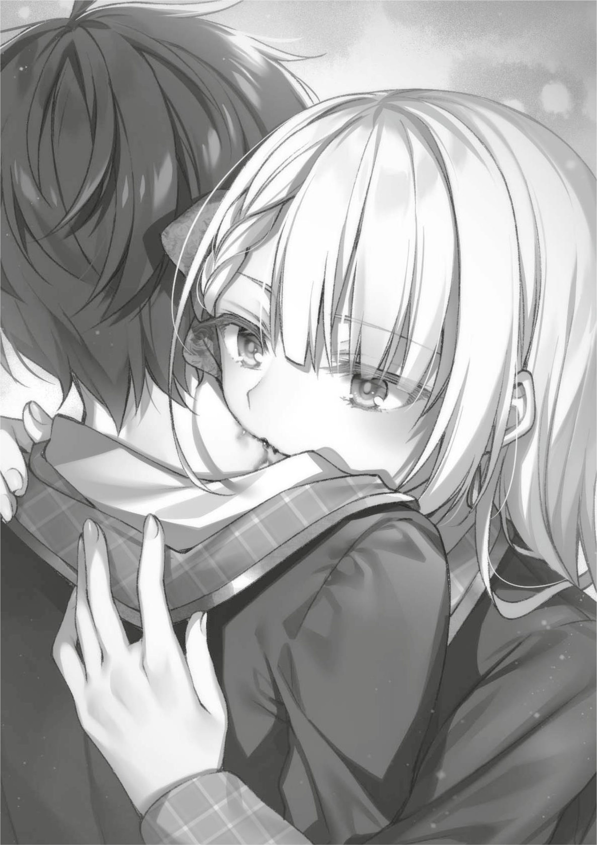 Seiken Gakuin no Maken Tsukai V3 Illustration - Megumi Novel