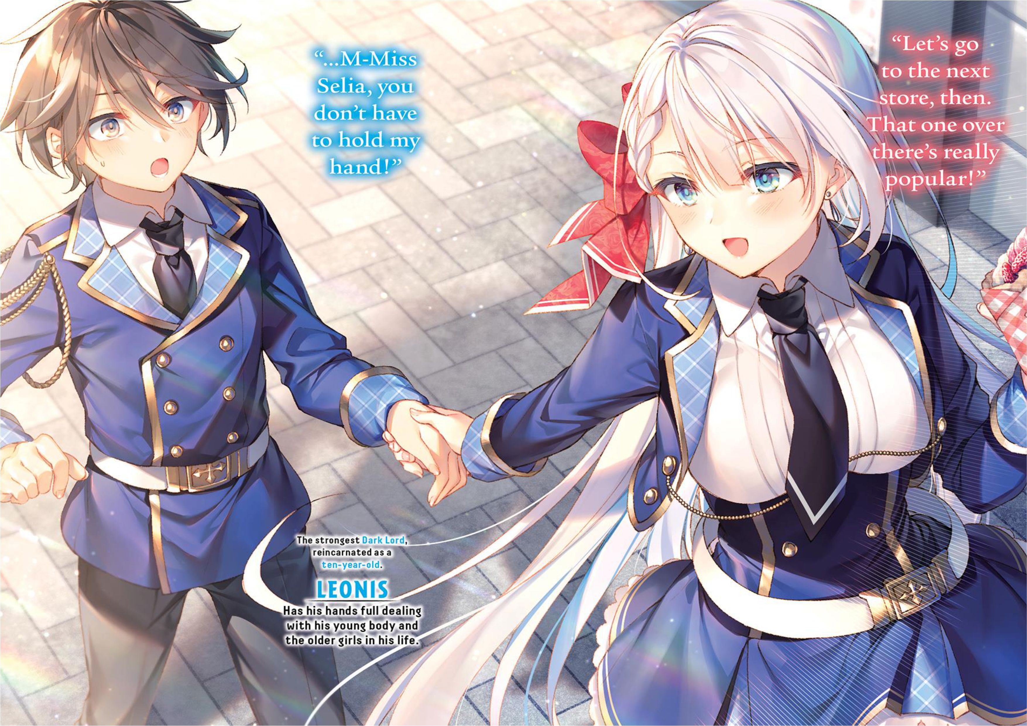 Seiken Gakuin no Maken Tsukai V4 Illustration - Megumi Novel