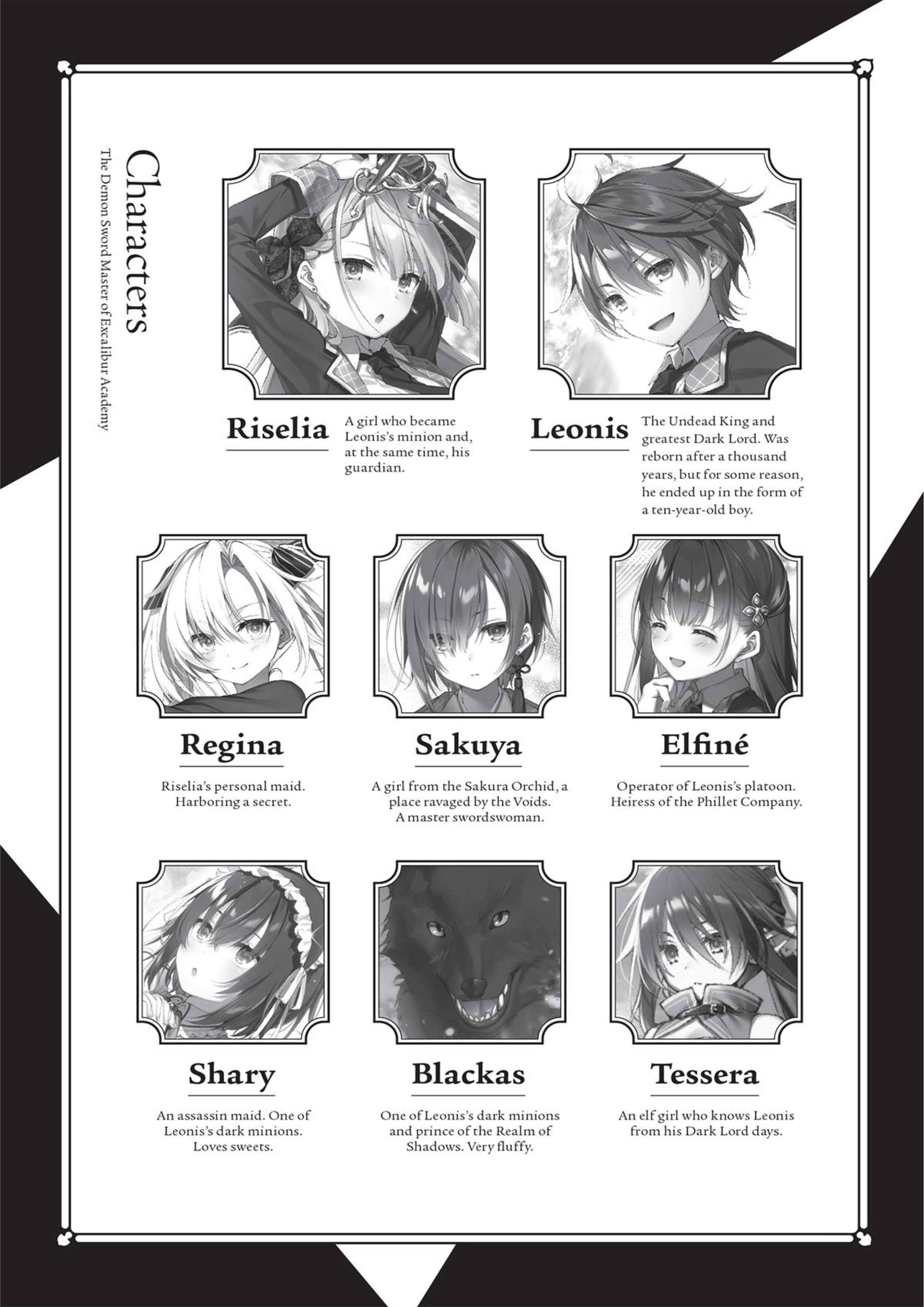 Seiken Gakuin no Maken Tsukai V4 Illustration - Megumi Novel