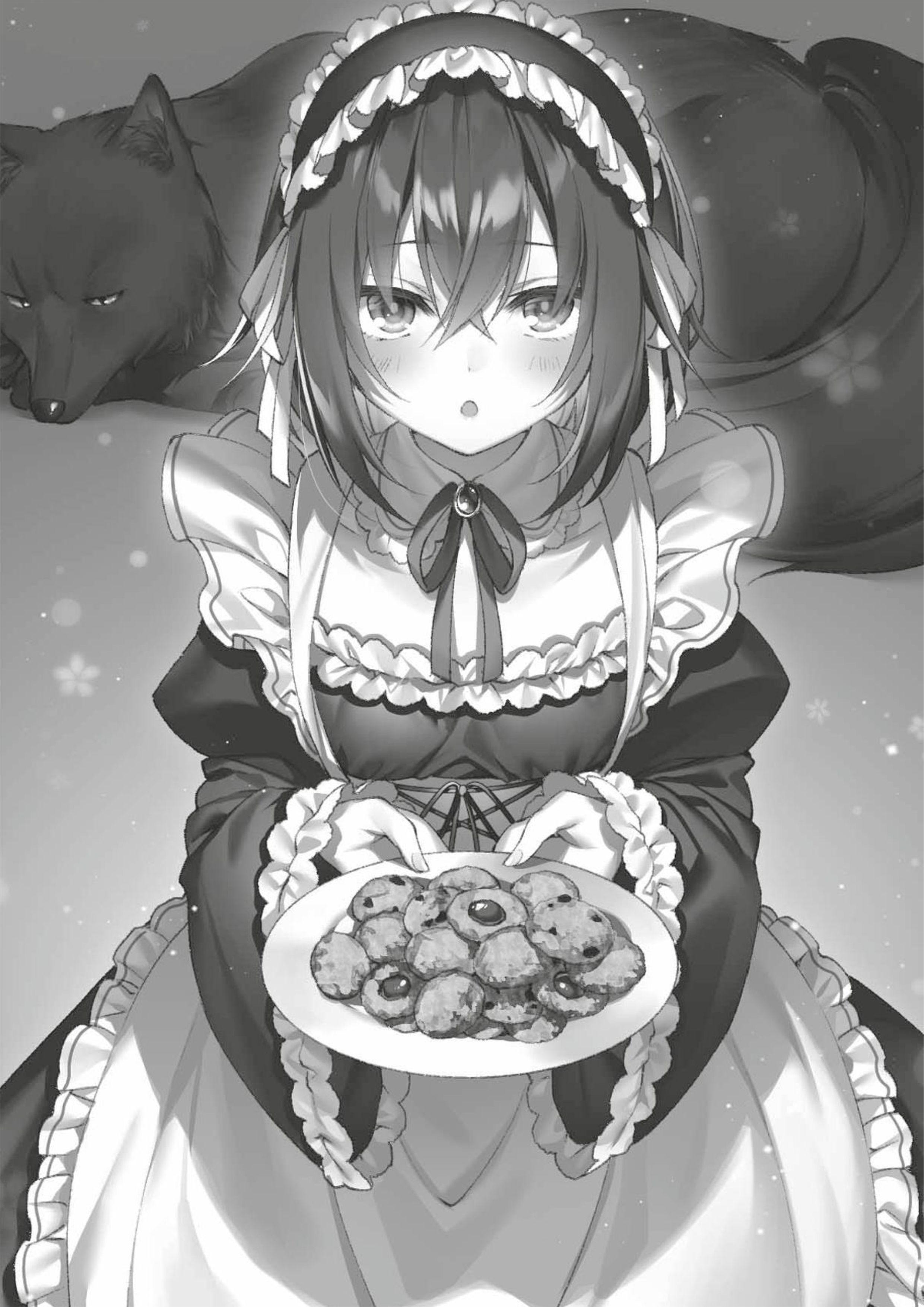 Seiken Gakuin no Maken Tsukai V4 Illustration - Megumi Novel