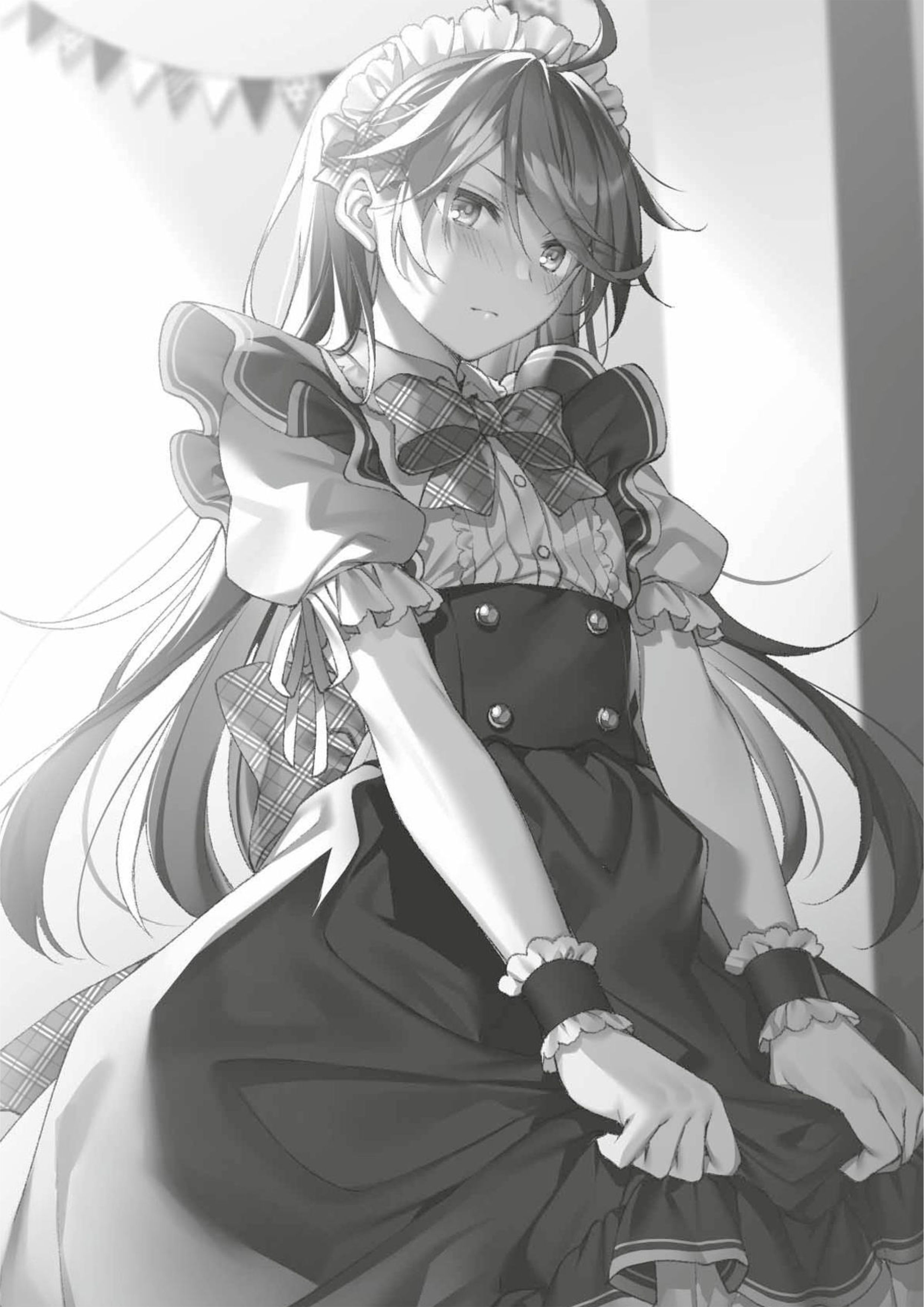 Seiken Gakuin no Maken Tsukai V4 Illustration - Megumi Novel