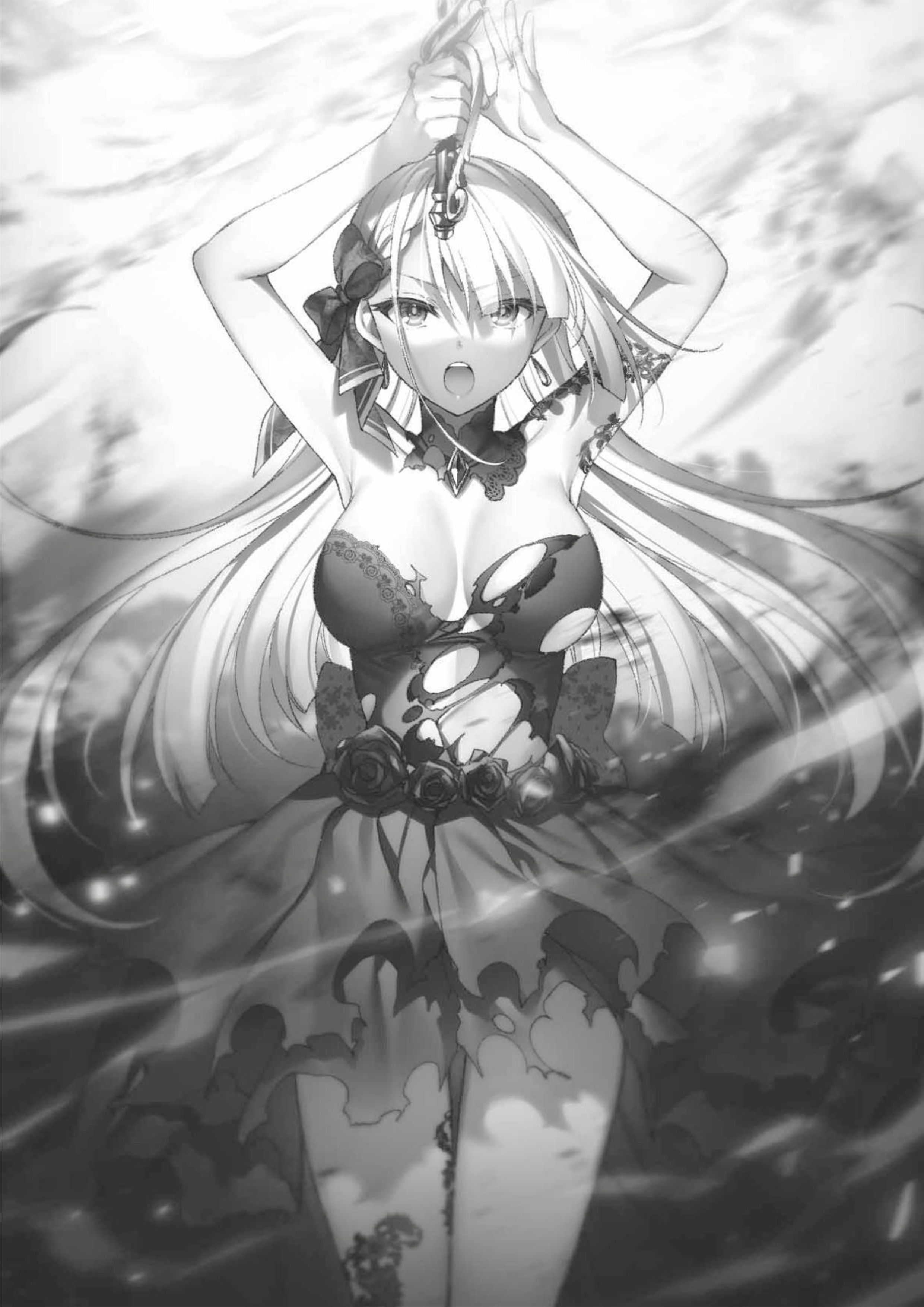 Seiken Gakuin no Maken Tsukai V4 Illustration - Megumi Novel