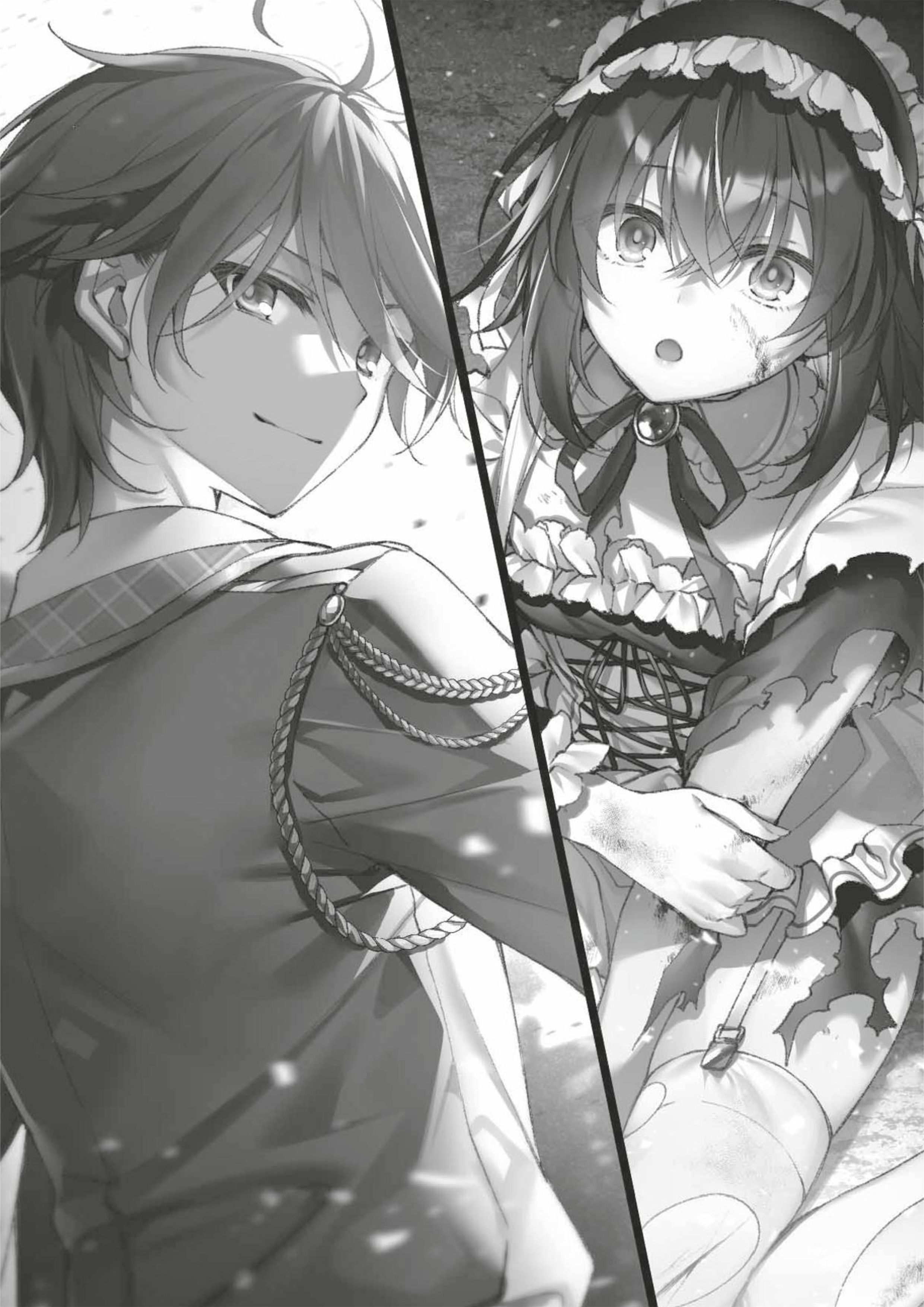 Seiken Gakuin no Maken Tsukai V4 Illustration - Megumi Novel
