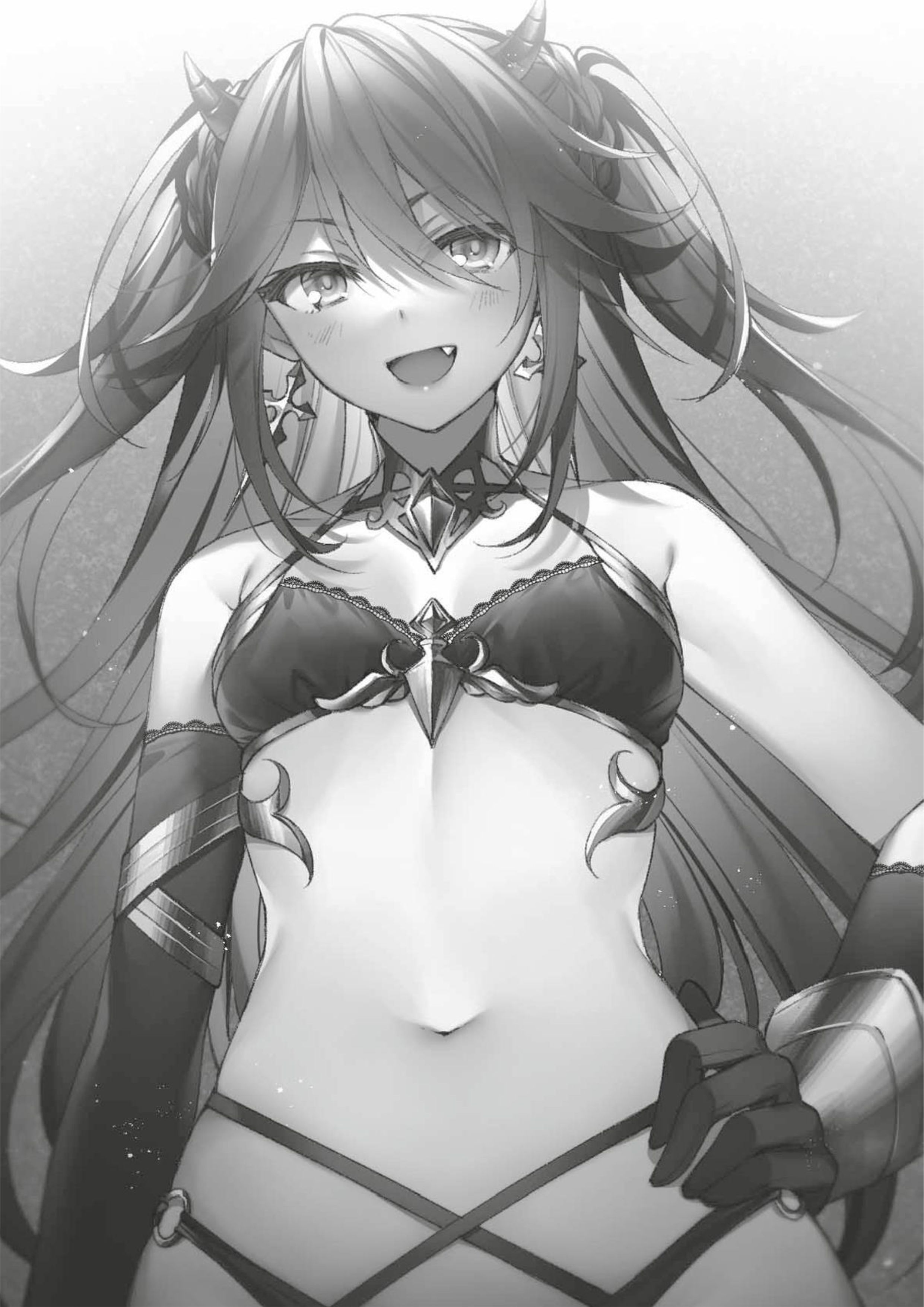 Seiken Gakuin no Maken Tsukai V4 Illustration - Megumi Novel