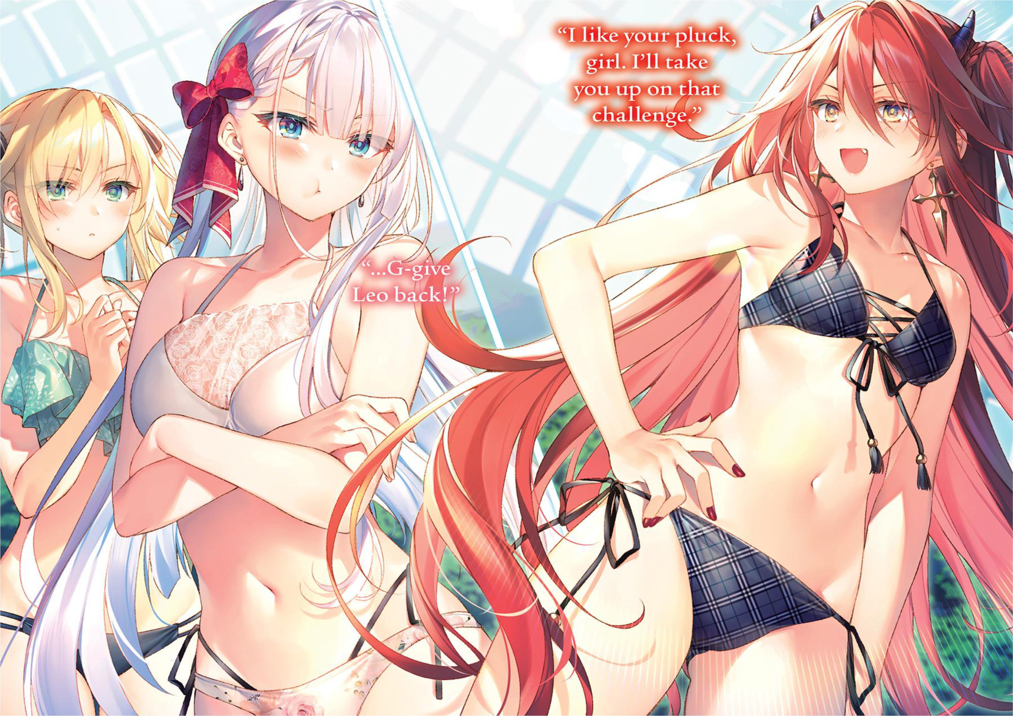 Seiken Gakuin no Maken Tsukai V5 Illustration - Megumi Novel