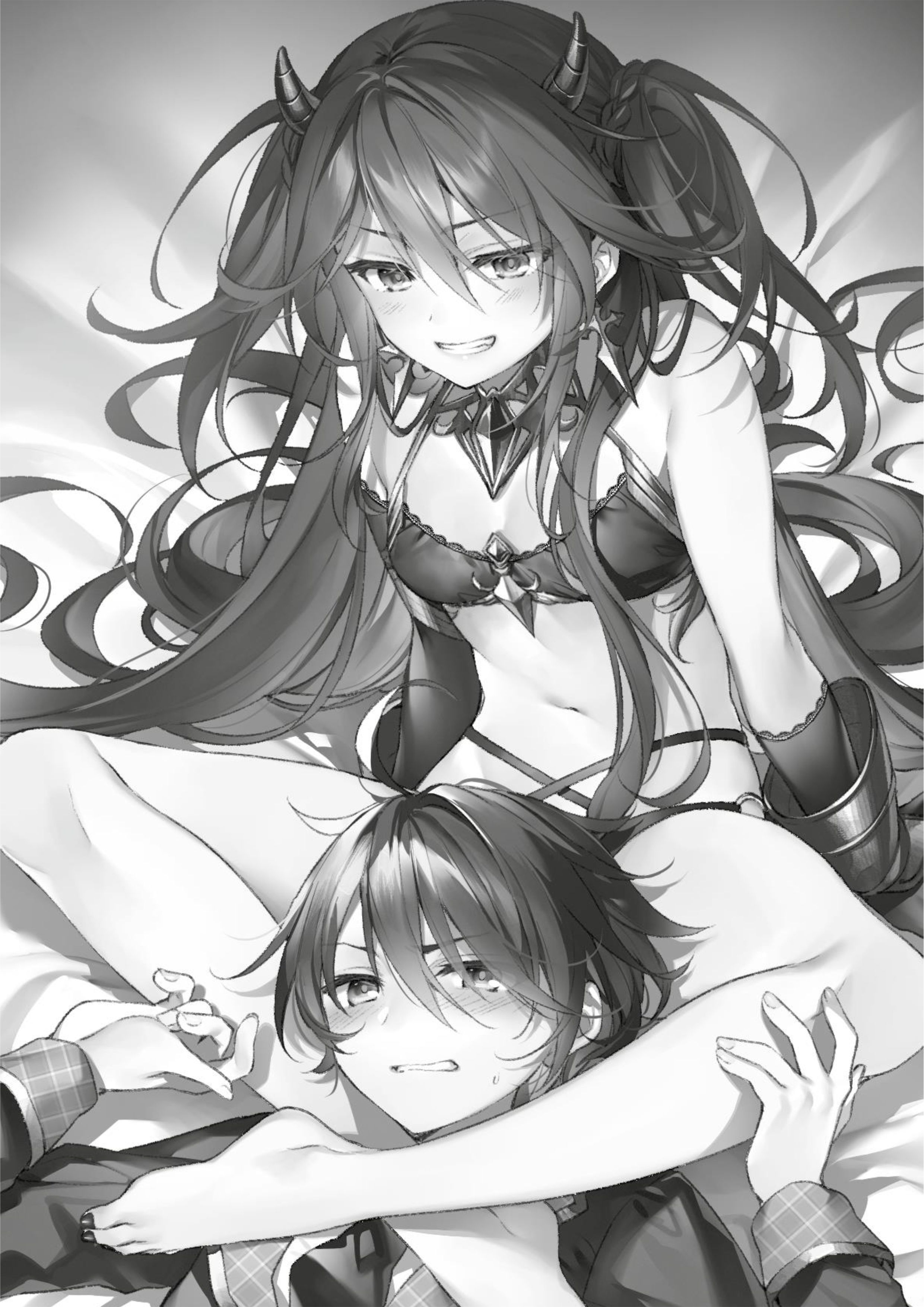 Seiken Gakuin no Maken Tsukai V5 Illustration - Megumi Novel