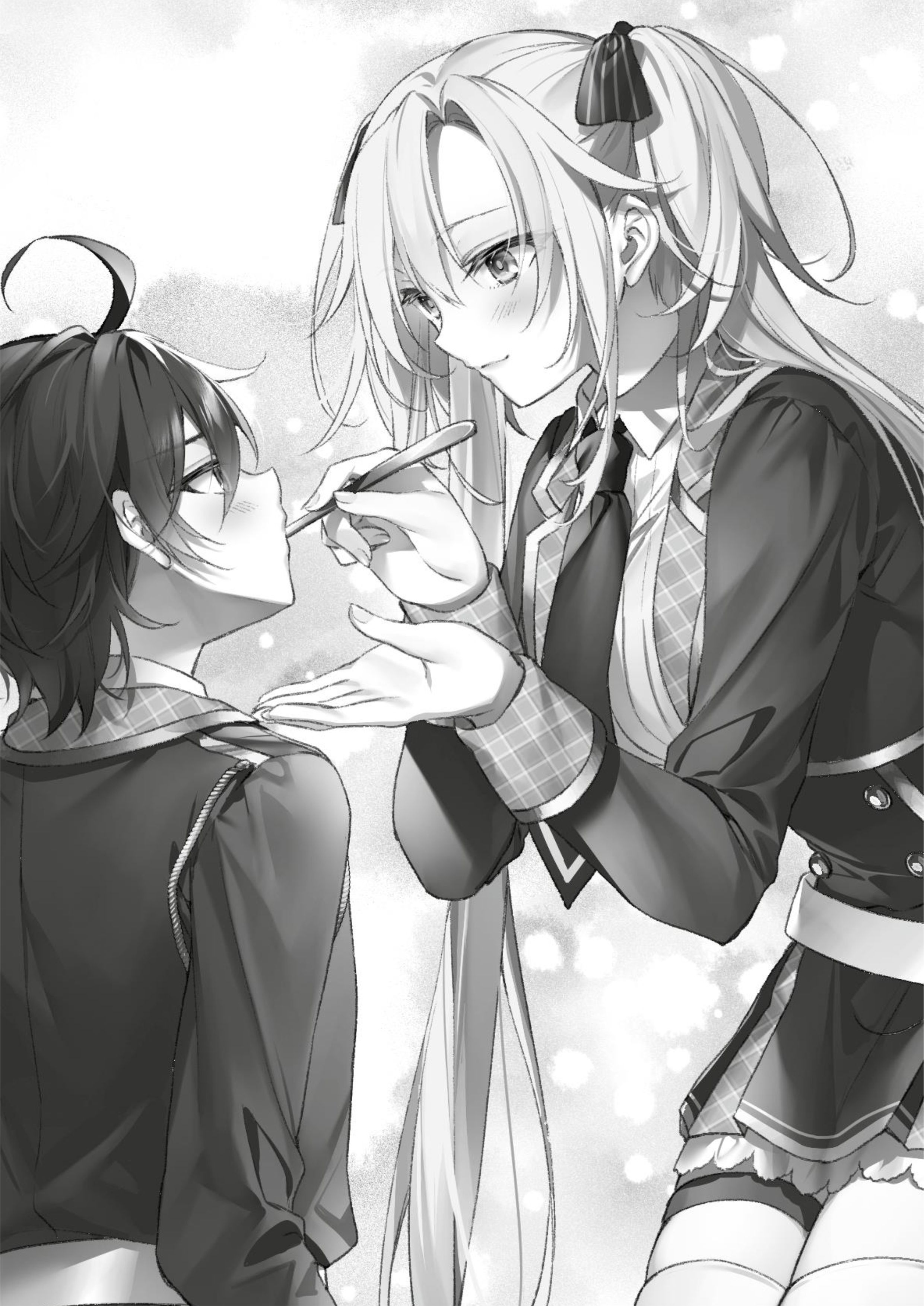 Seiken Gakuin no Maken Tsukai V5 Illustration - Megumi Novel