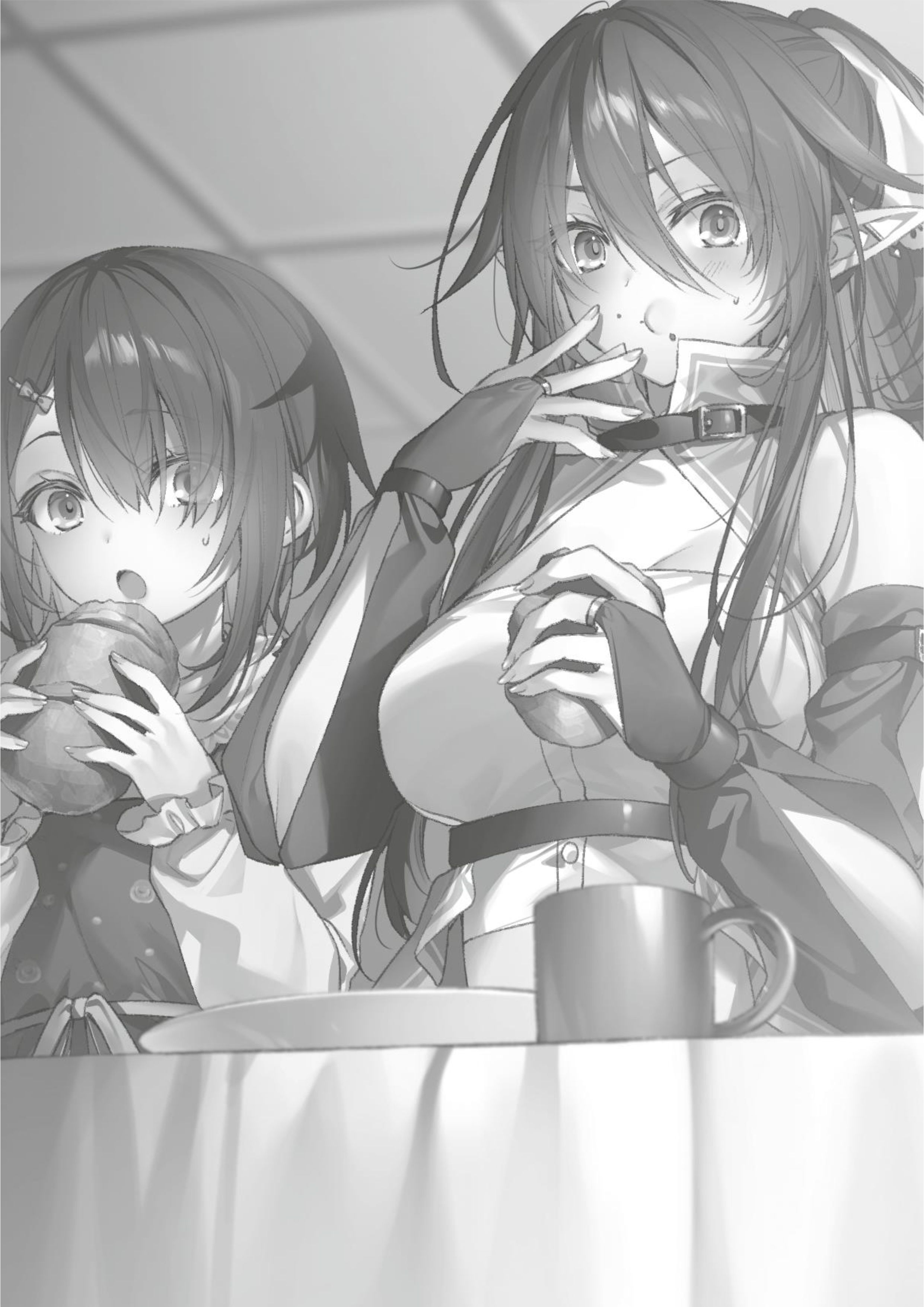 Seiken Gakuin no Maken Tsukai V6 Illustration - Megumi Novel