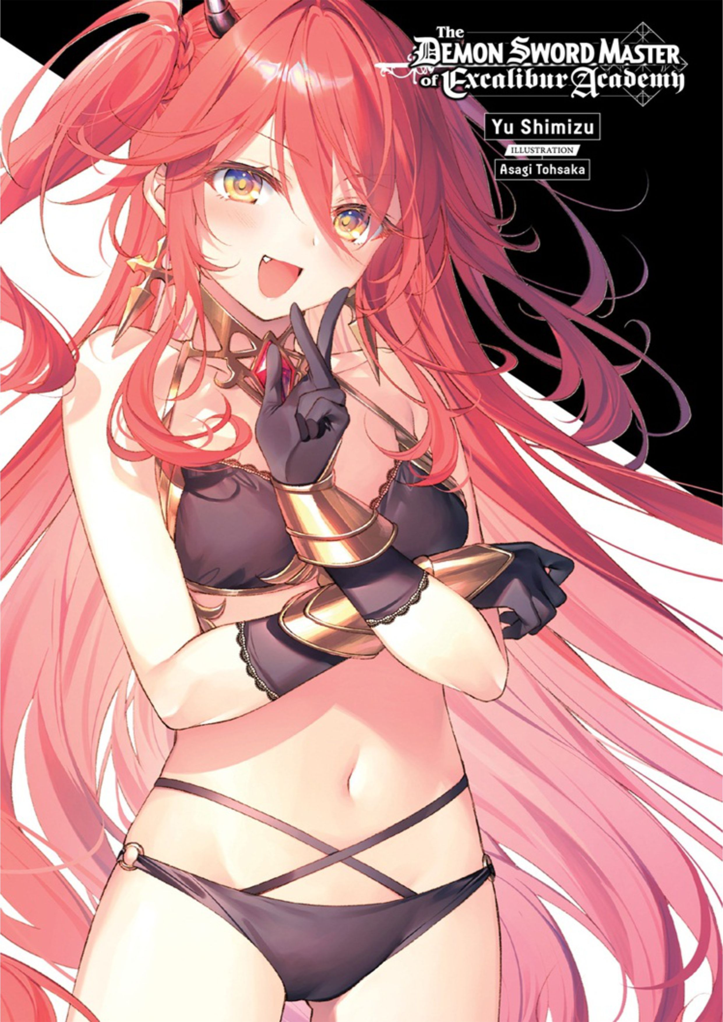 Seiken Gakuin no Maken Tsukai V7 Illustration - Megumi Novel
