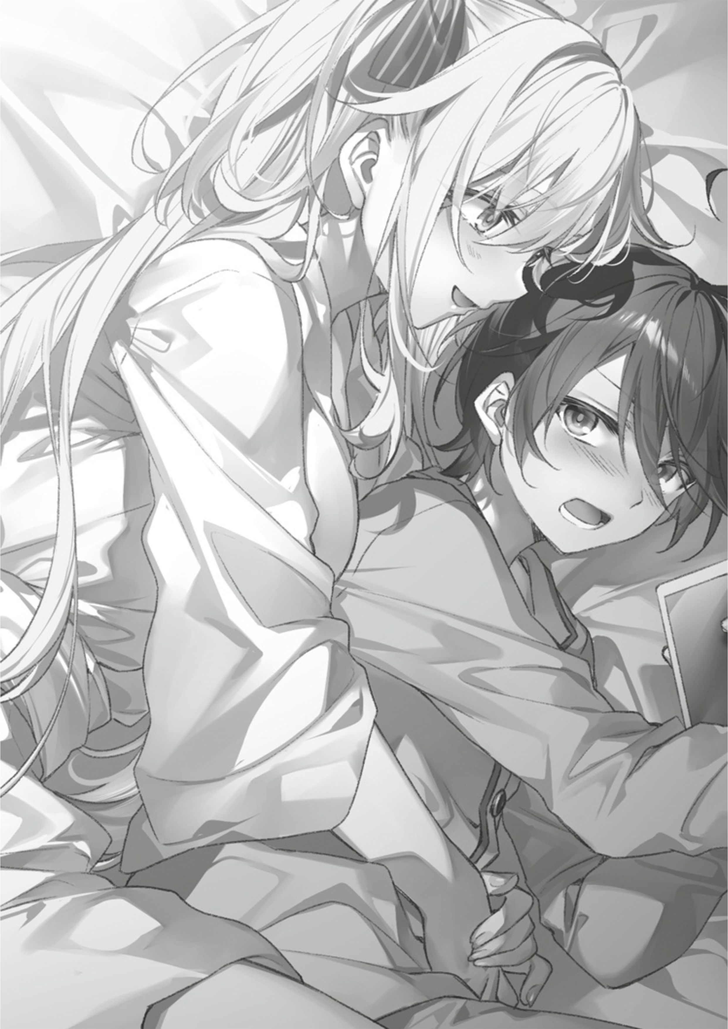 Seiken Gakuin no Maken Tsukai V7 Illustration - Megumi Novel