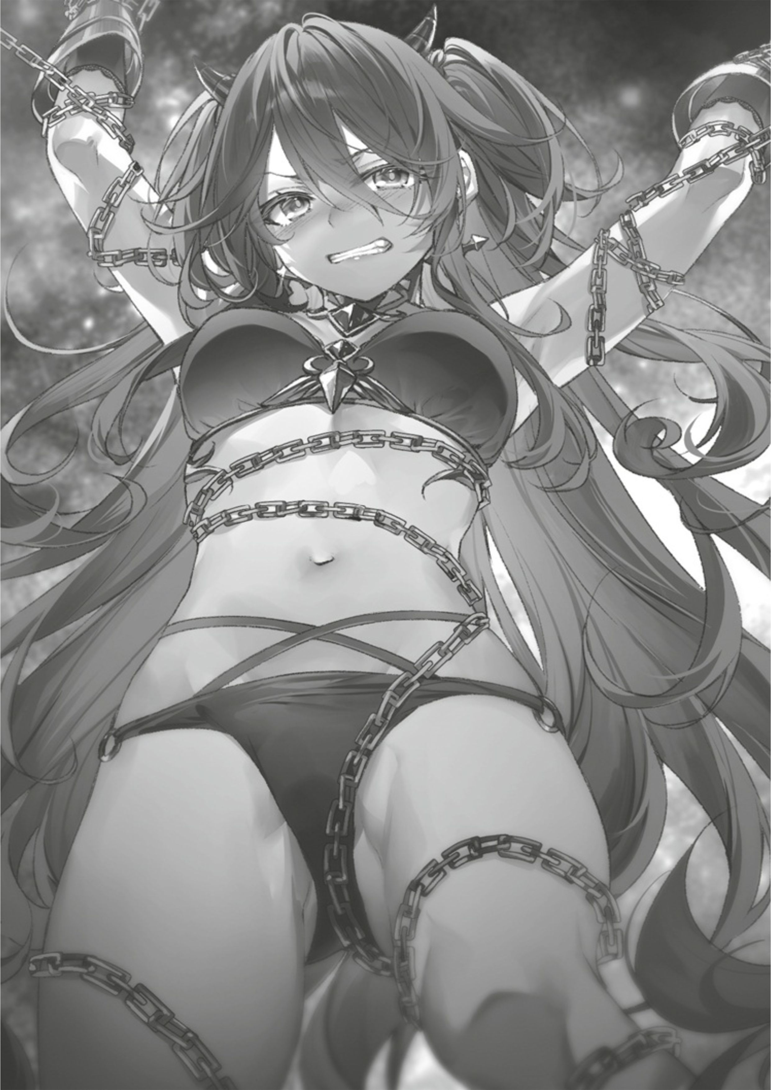 Seiken Gakuin no Maken Tsukai V7 Illustration - Megumi Novel