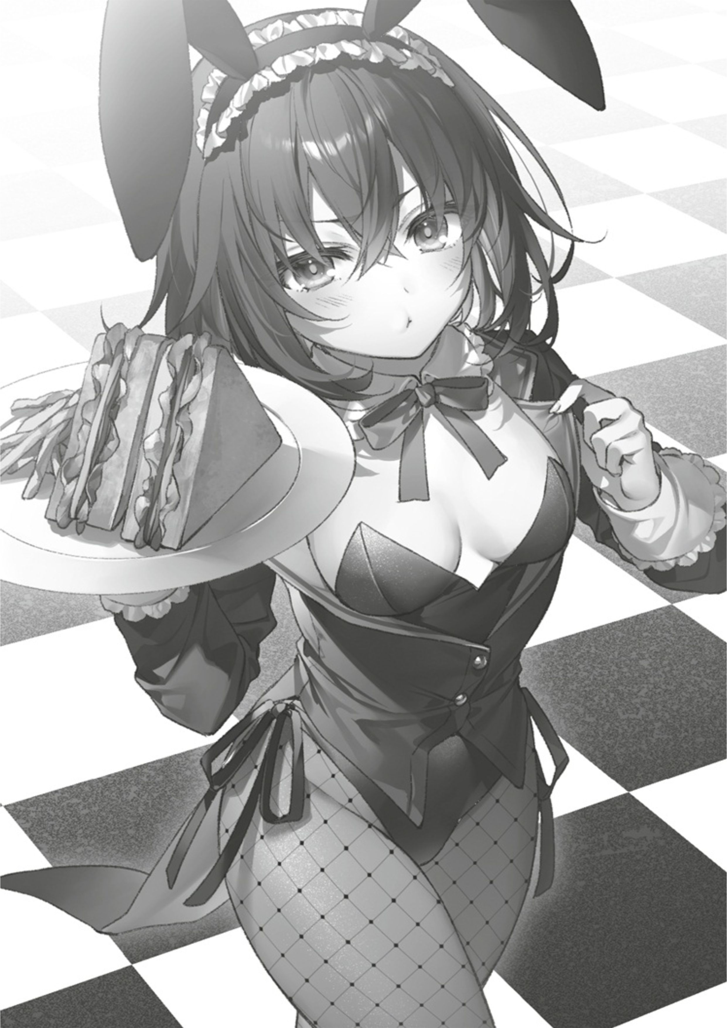 Seiken Gakuin no Maken Tsukai V7 Illustration - Megumi Novel