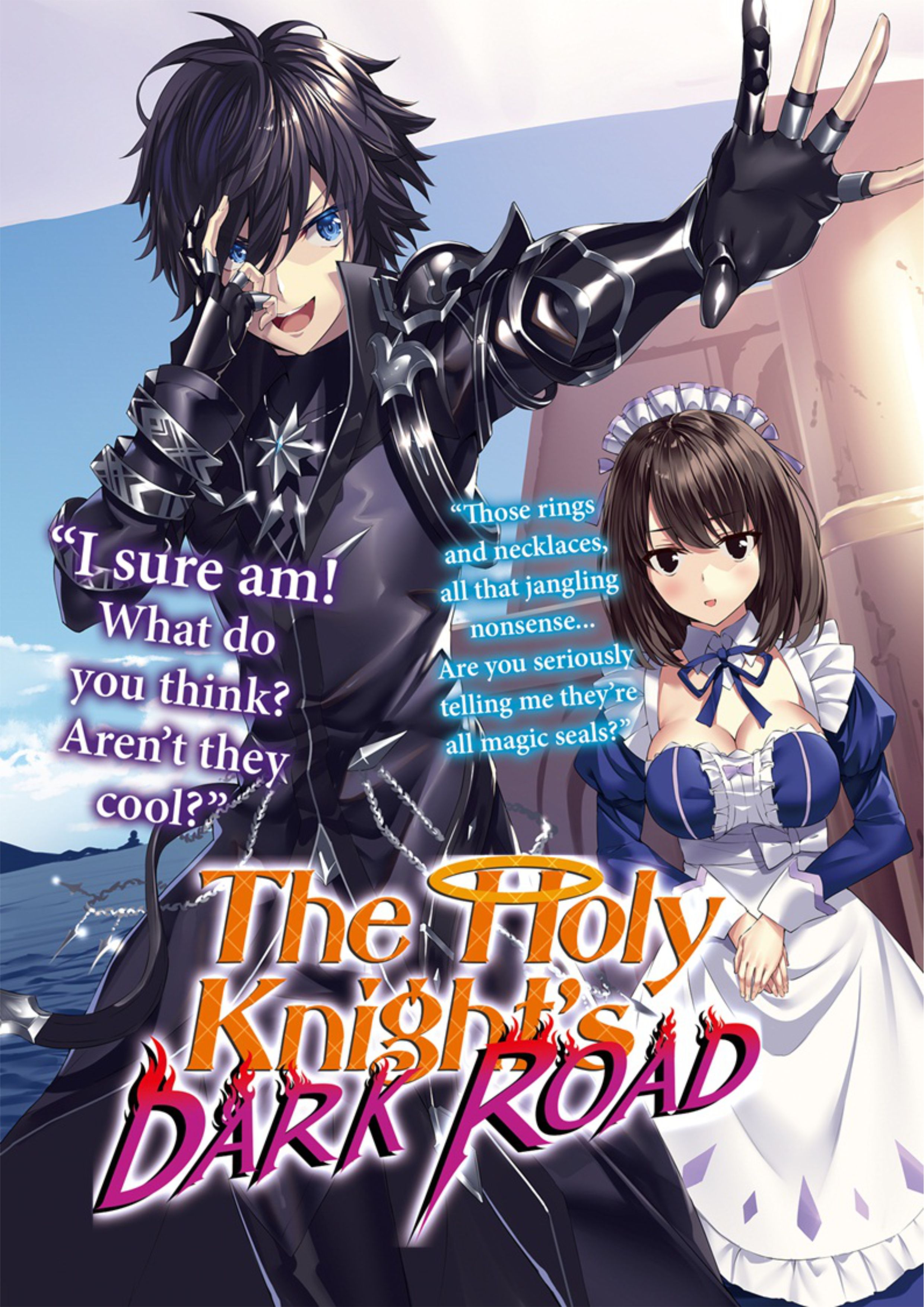 Seinaru Kishi no Ankokudou V1 Illustration - Megumi Novel