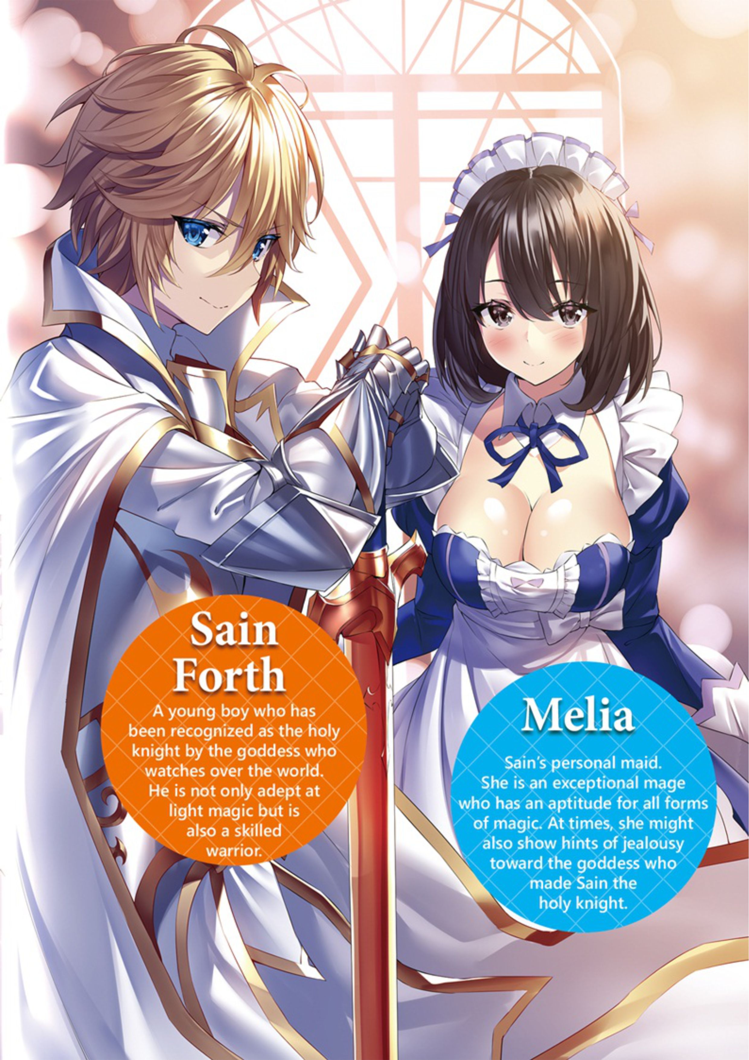 Seinaru Kishi no Ankokudou V1 Illustration - Megumi Novel