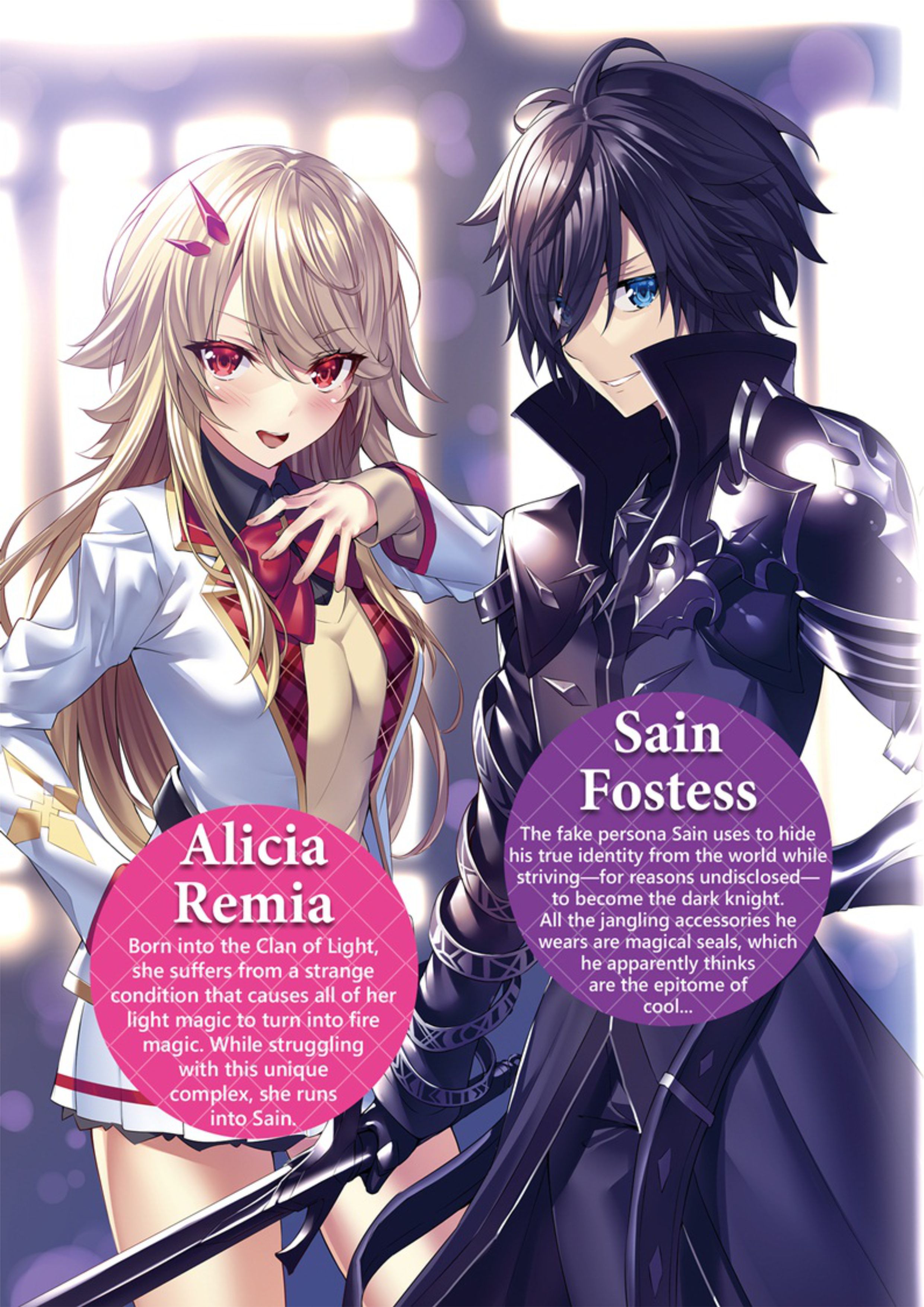 Seinaru Kishi no Ankokudou V1 Illustration - Megumi Novel