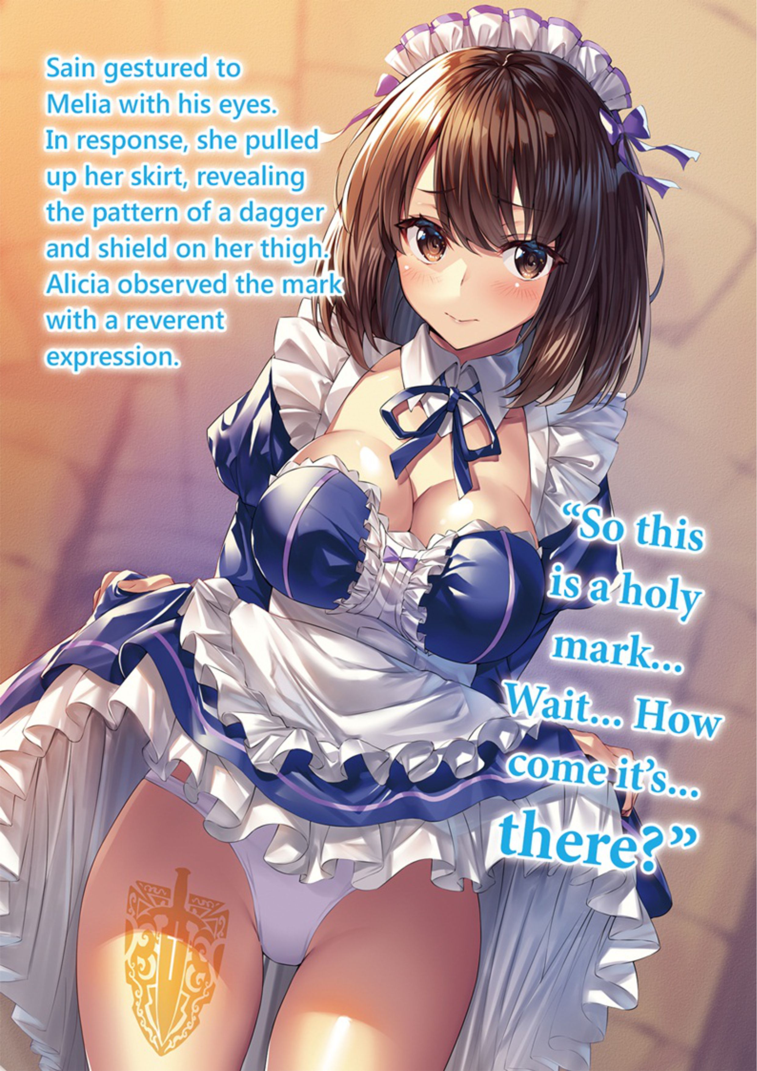 Seinaru Kishi no Ankokudou V1 Illustration - Megumi Novel