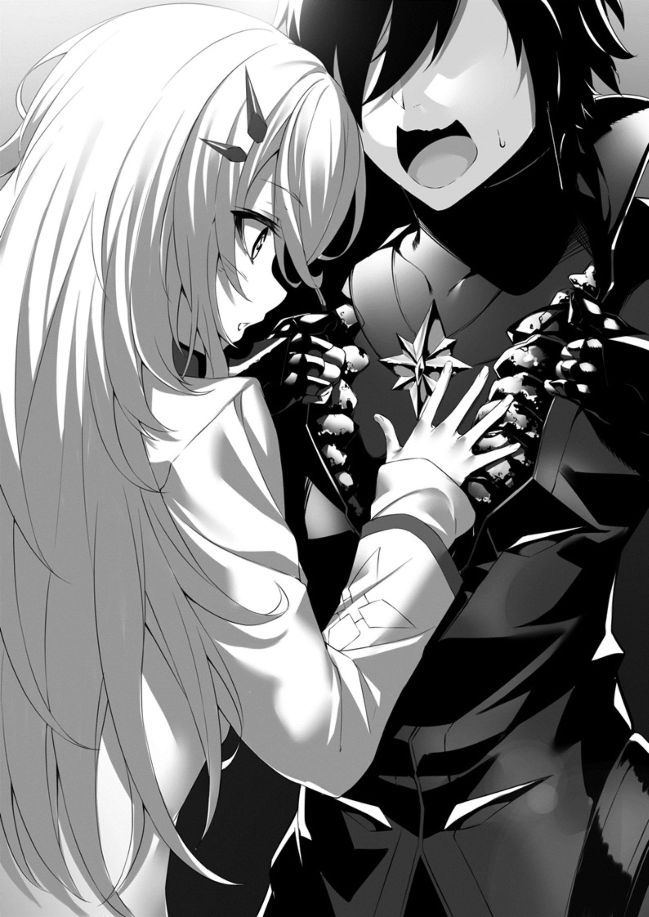 Seinaru Kishi no Ankokudou V1 Illustration - Megumi Novel