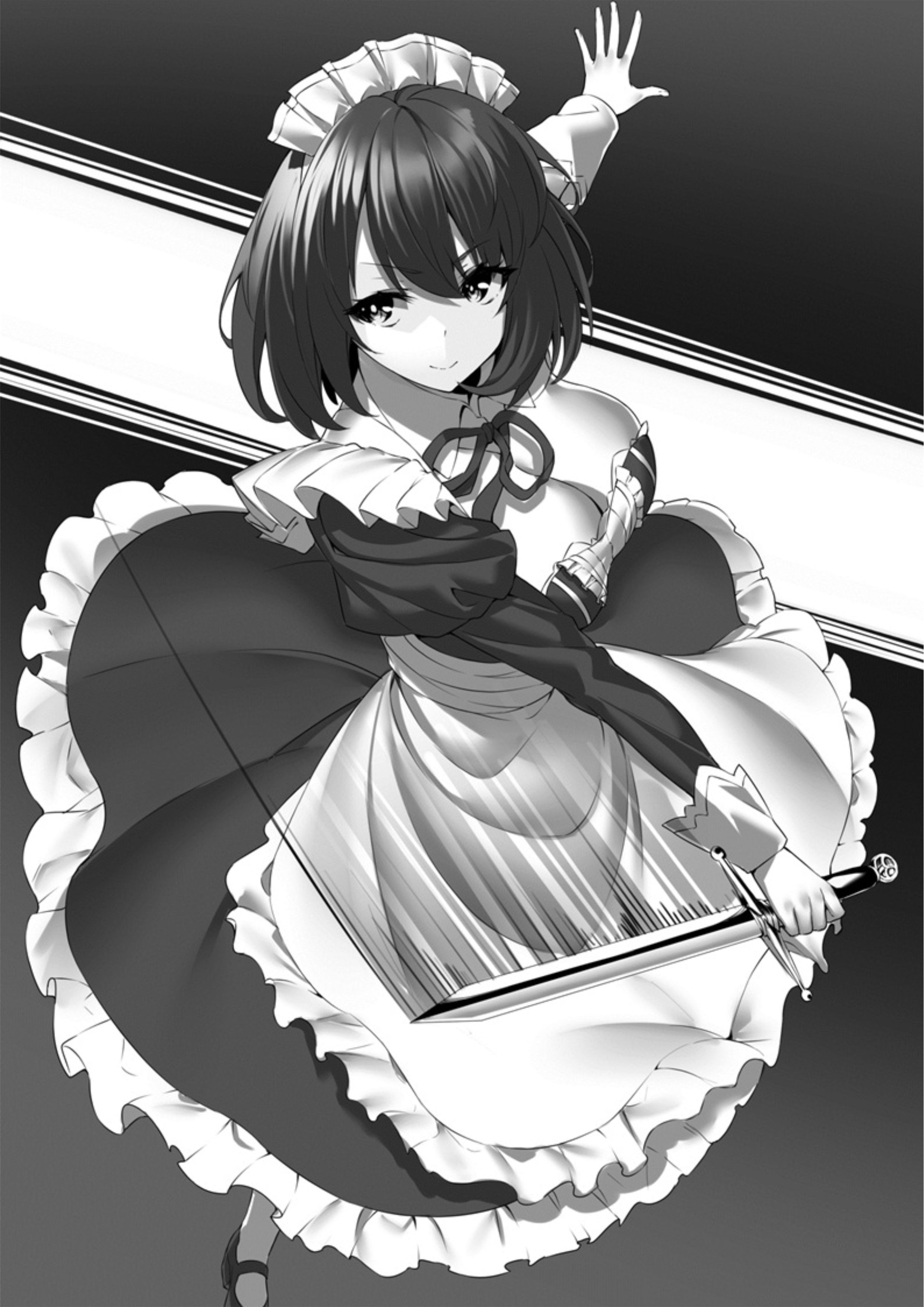 Seinaru Kishi no Ankokudou V1 Illustration - Megumi Novel