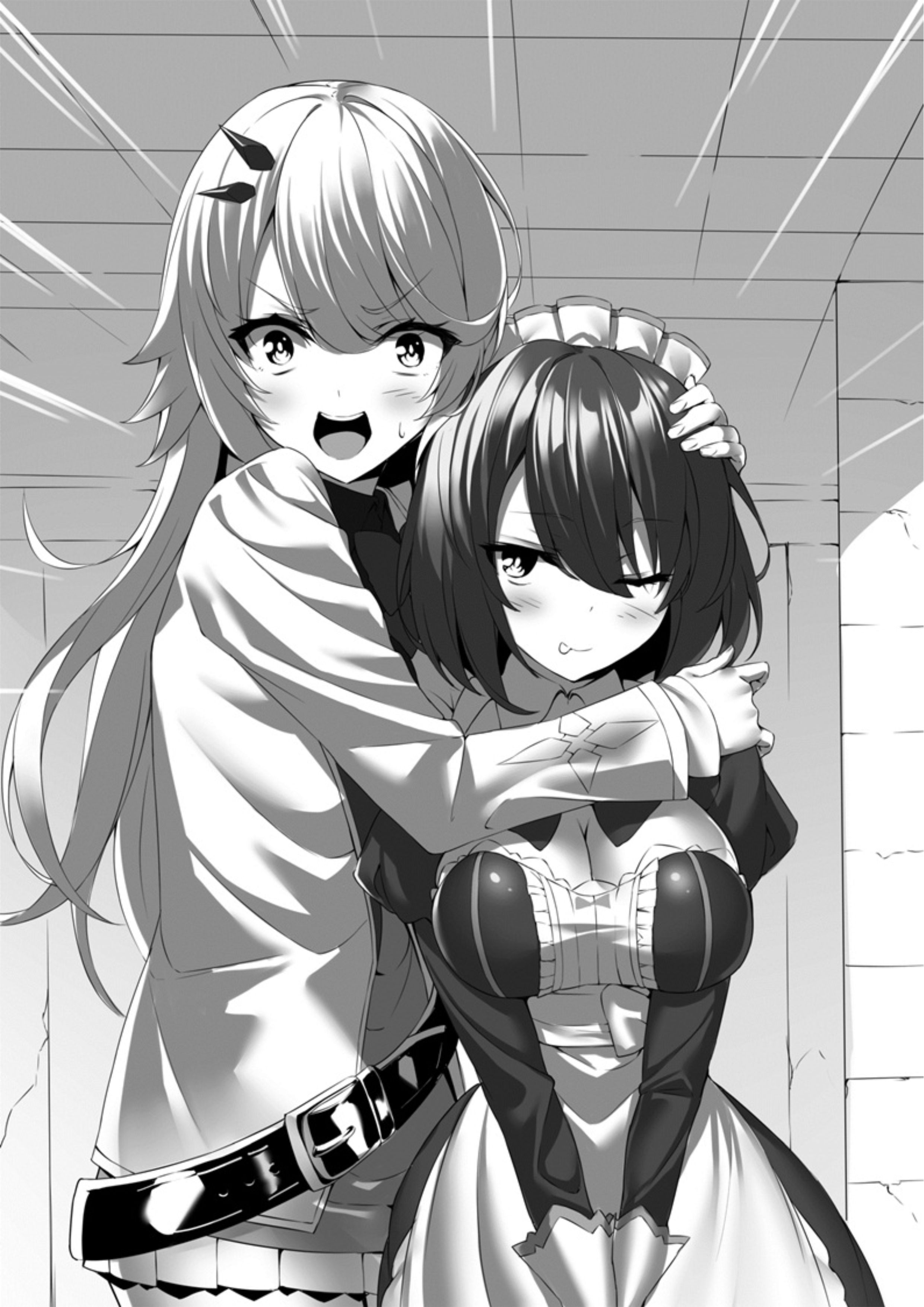 Seinaru Kishi no Ankokudou V1 Illustration - Megumi Novel
