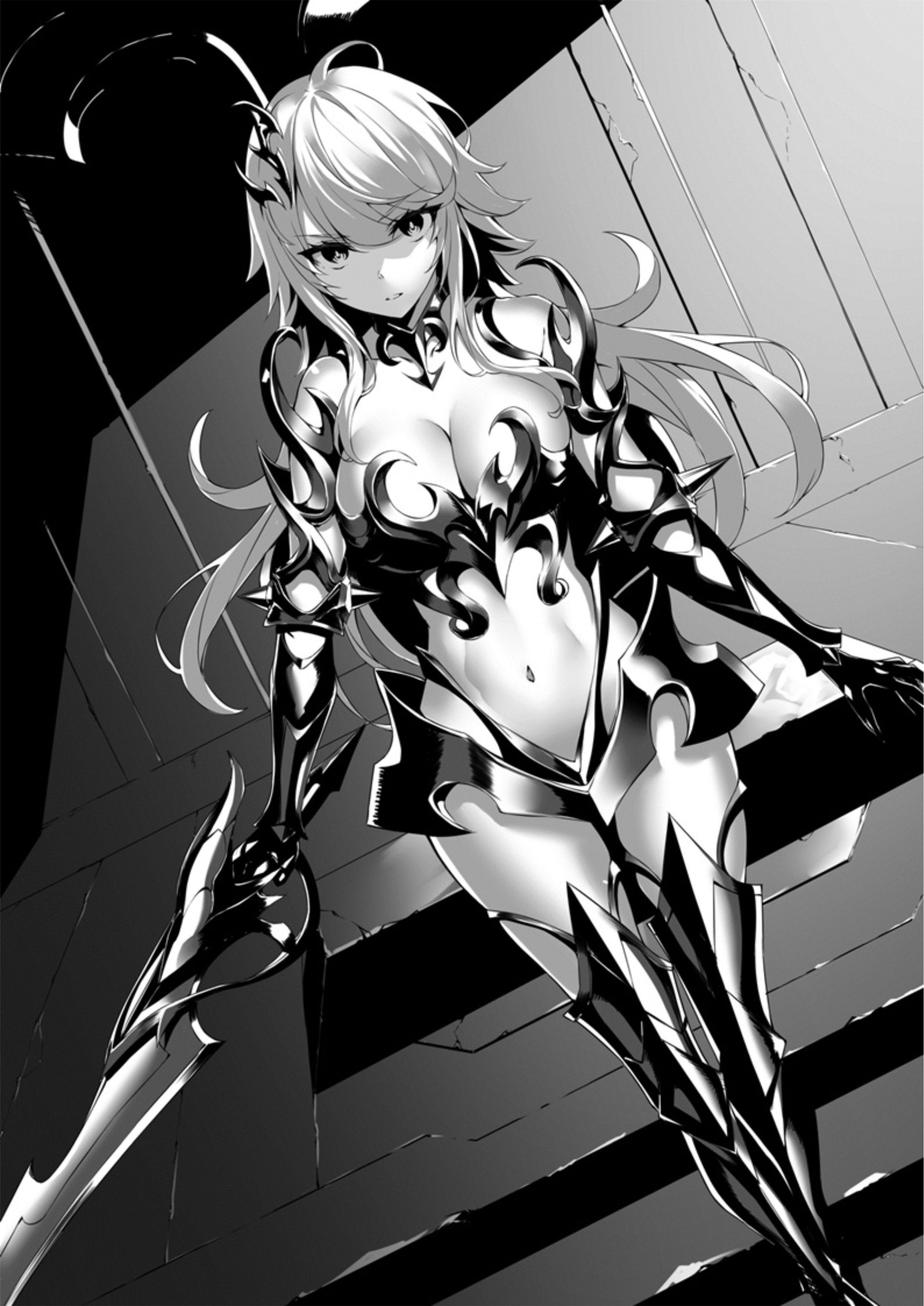 Seinaru Kishi no Ankokudou V1 Illustration - Megumi Novel